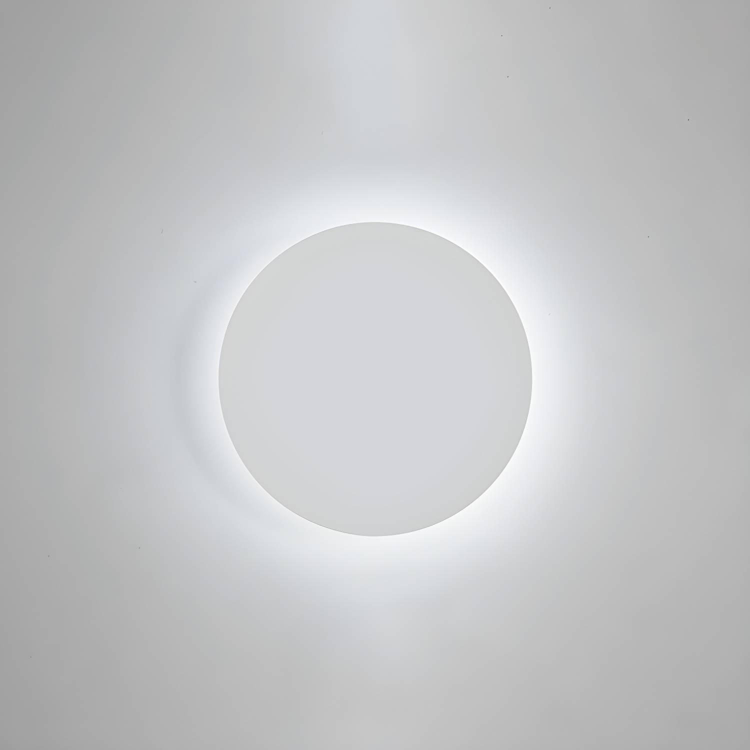 Imported image ea41234c55be 3694402.jpg