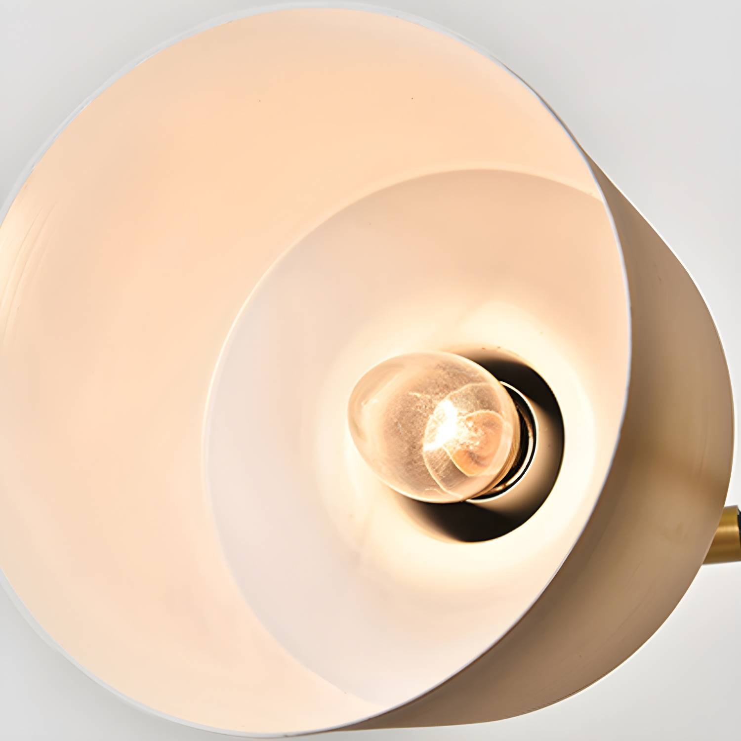 Imported image c79551fe2449 3697026.jpg