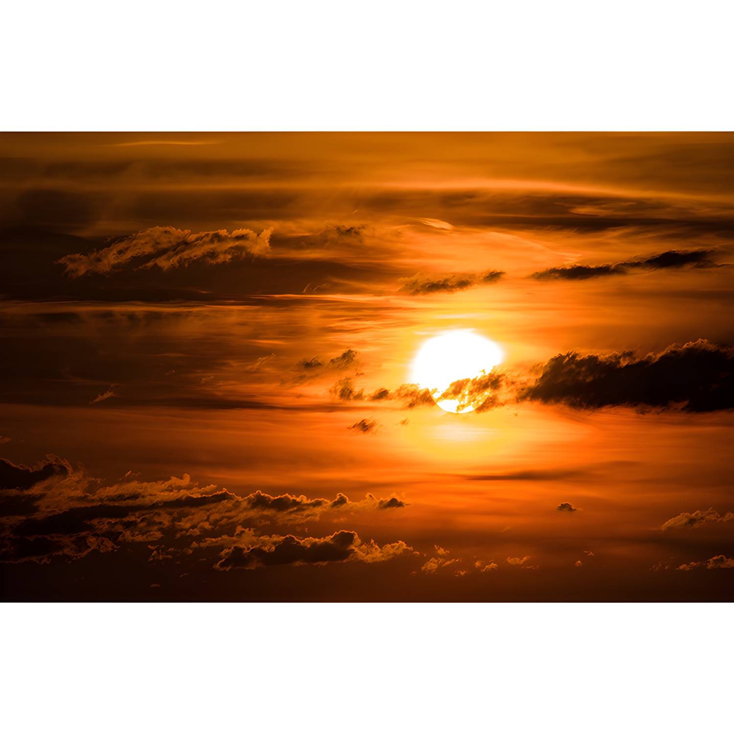 Imported image a7294977714c 3700520.jpg