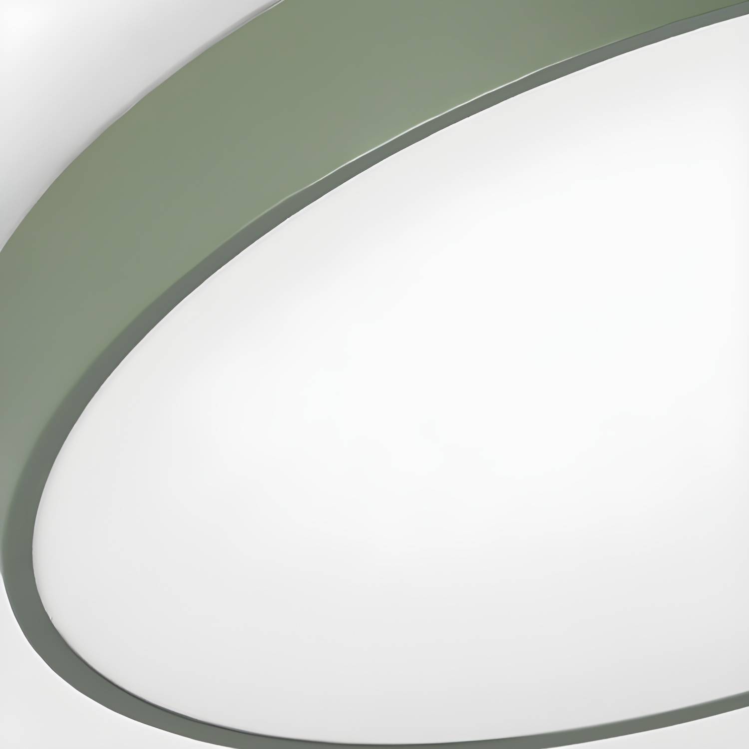 Imported image d3c9f764aae4 3712398.jpg