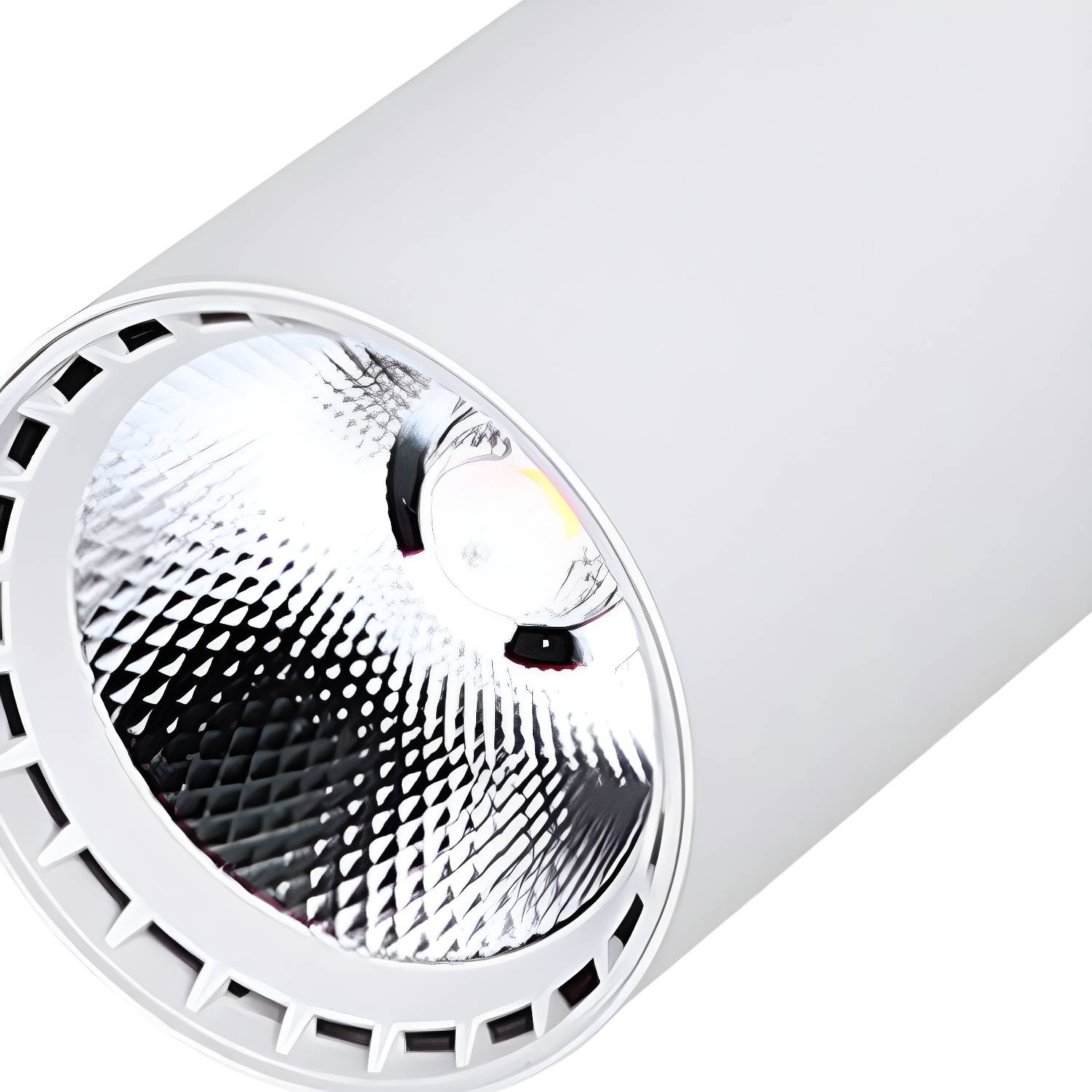 Imported image e748cd9b2914 3713465.jpg
