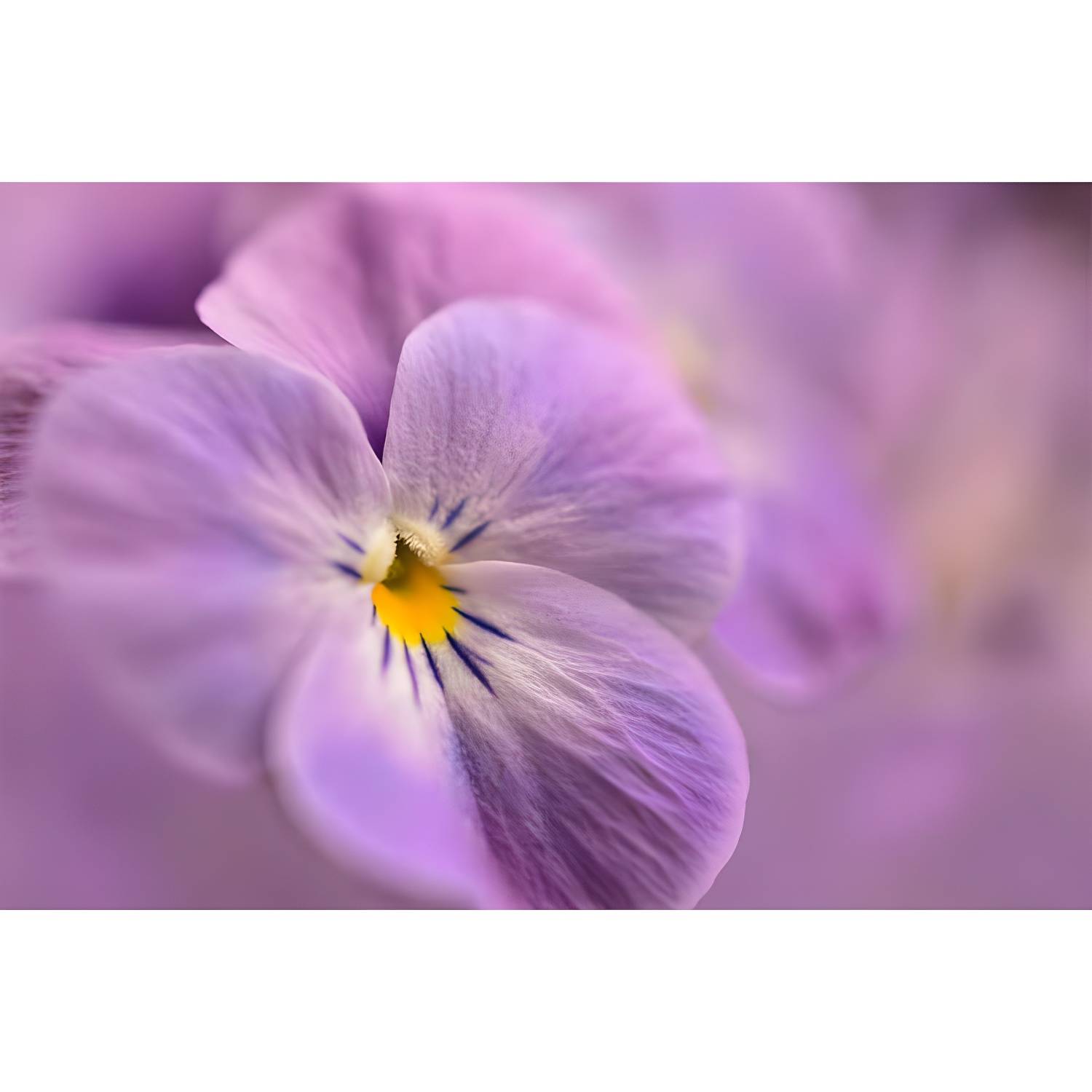 Imported image b41b8fda343e 3729641.jpg