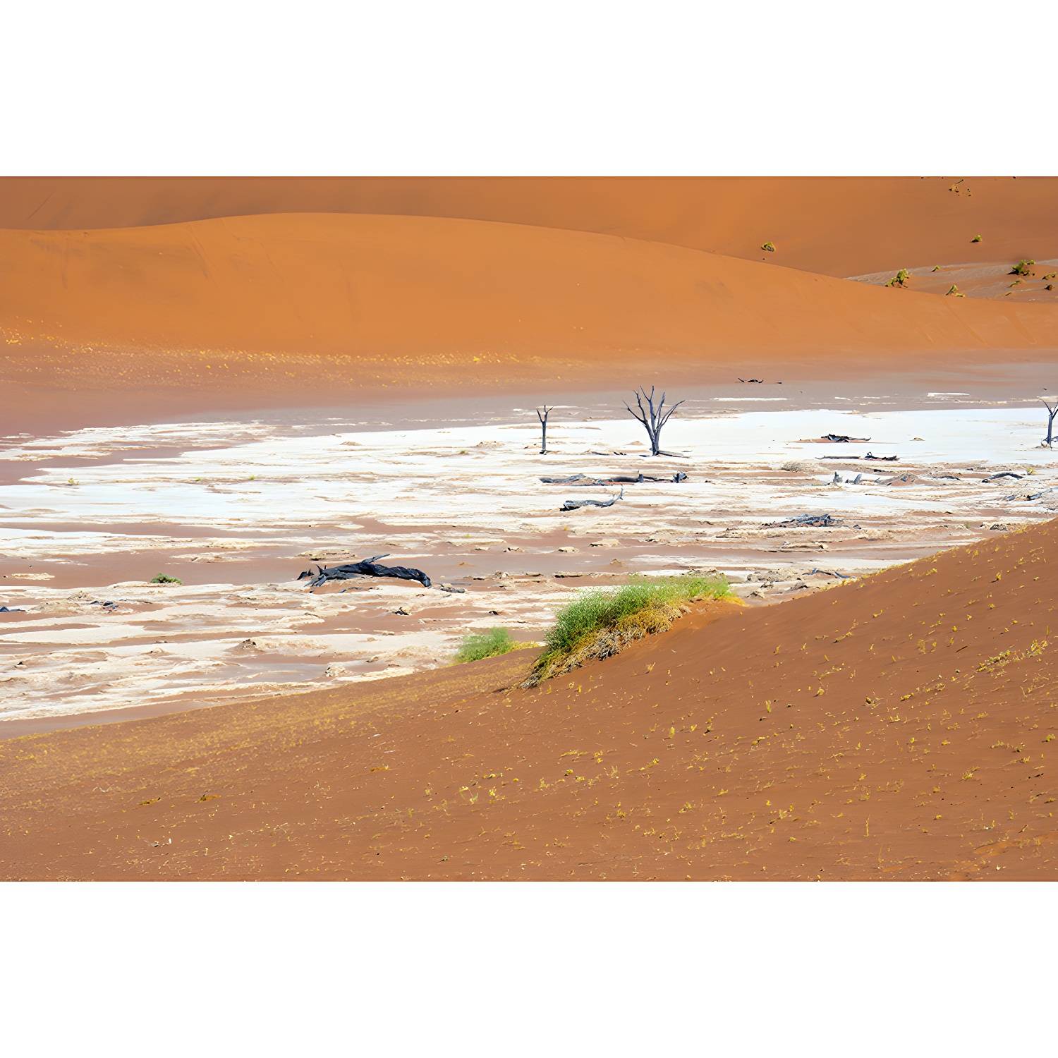 Imported image fade0cff1317 3732090.jpg