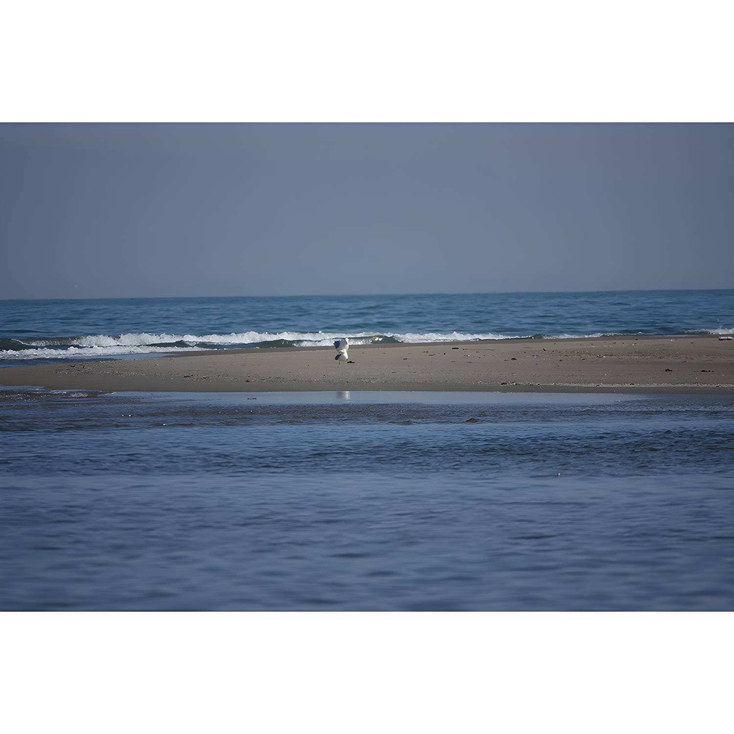 Imported image 700b47ffe71a 3732144.jpg