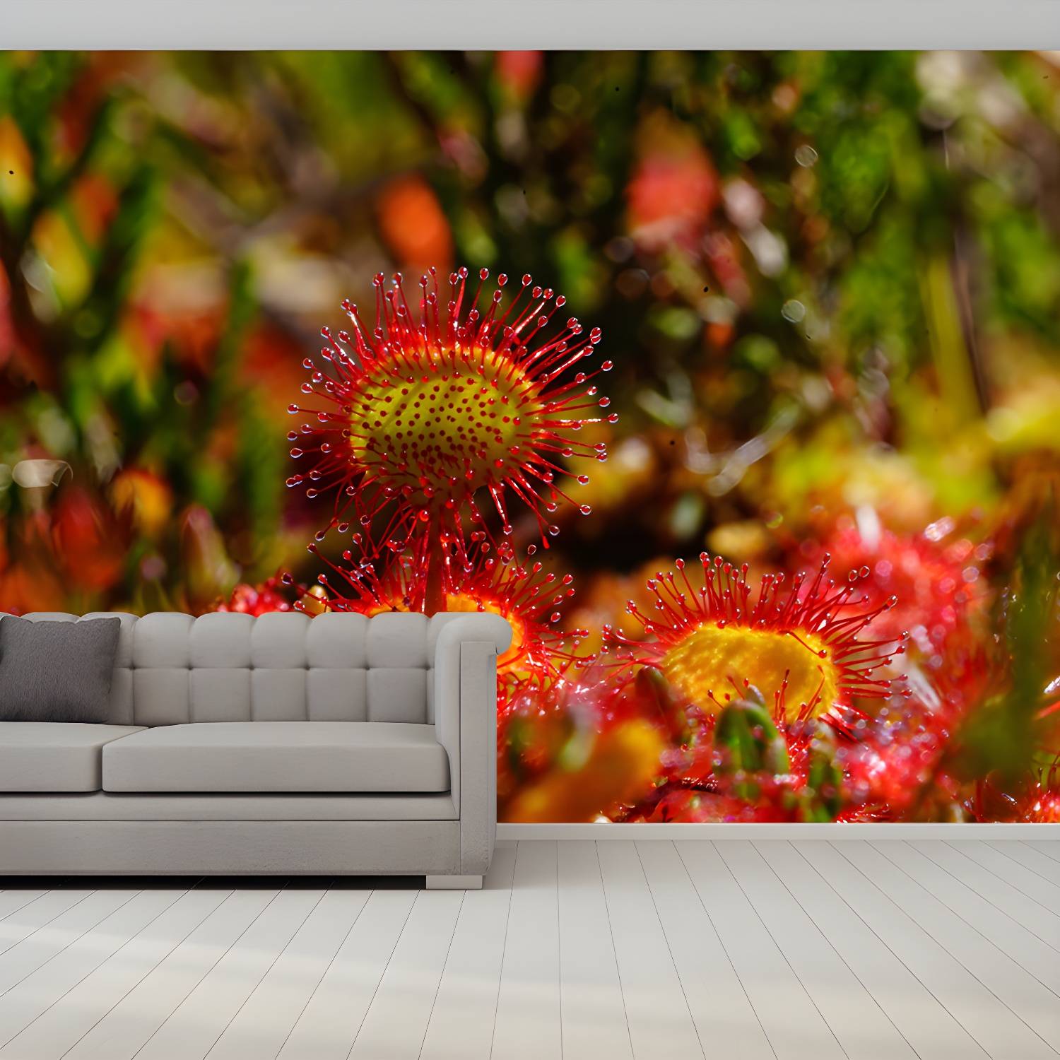 Imported image 6e39cb638e16 3732280.jpg