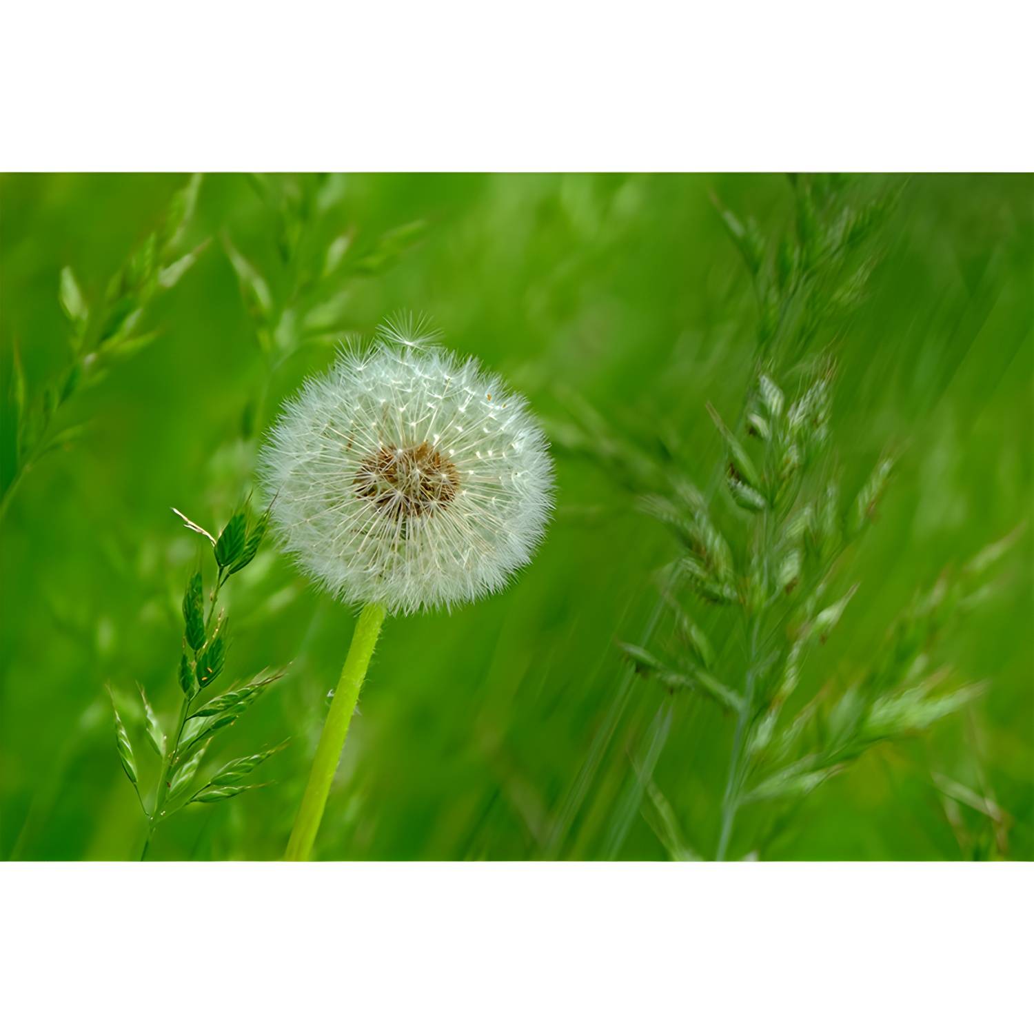 Imported image 64a2726de7df 3732293.jpg
