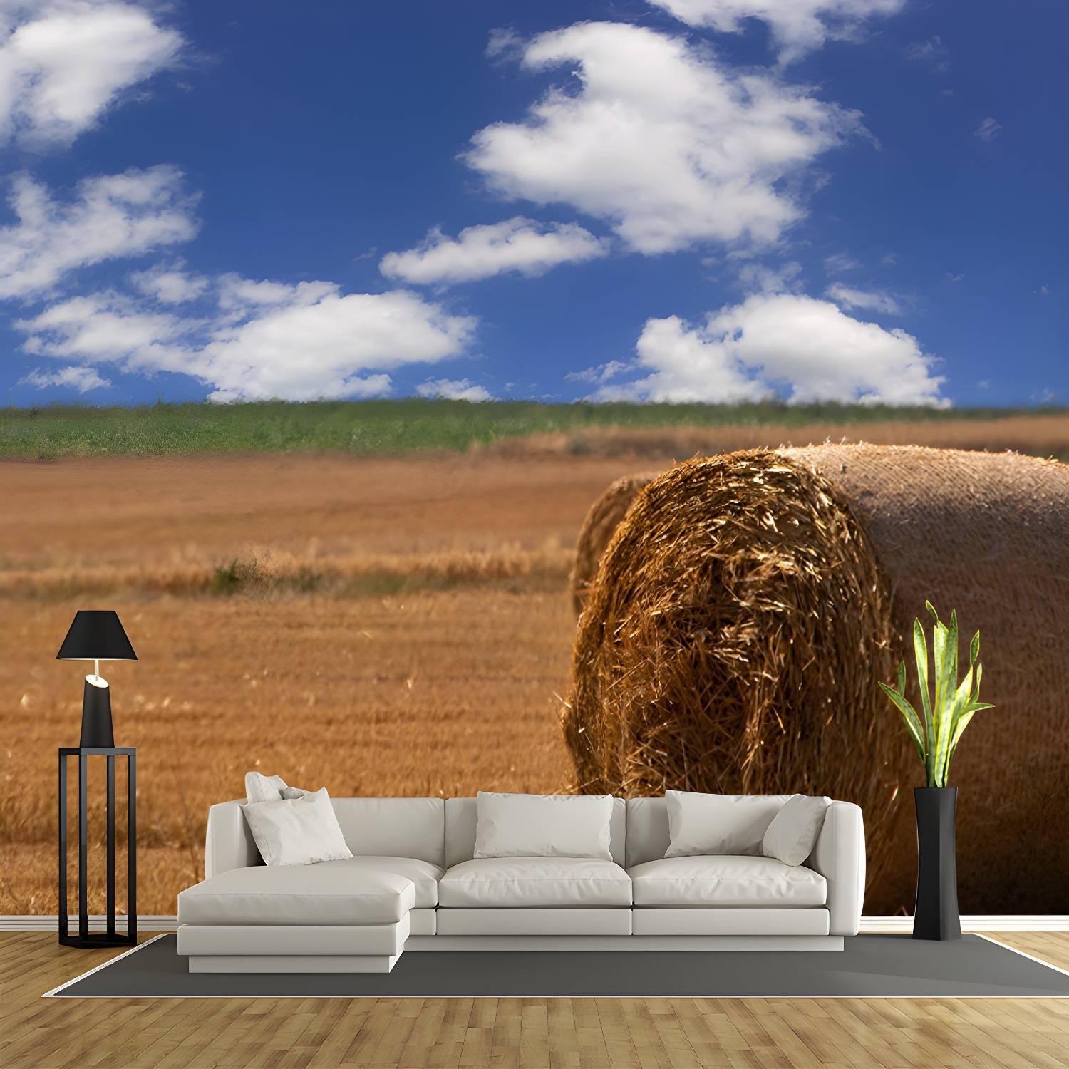 Imported image 3d6ed228d47f 3732497.jpg