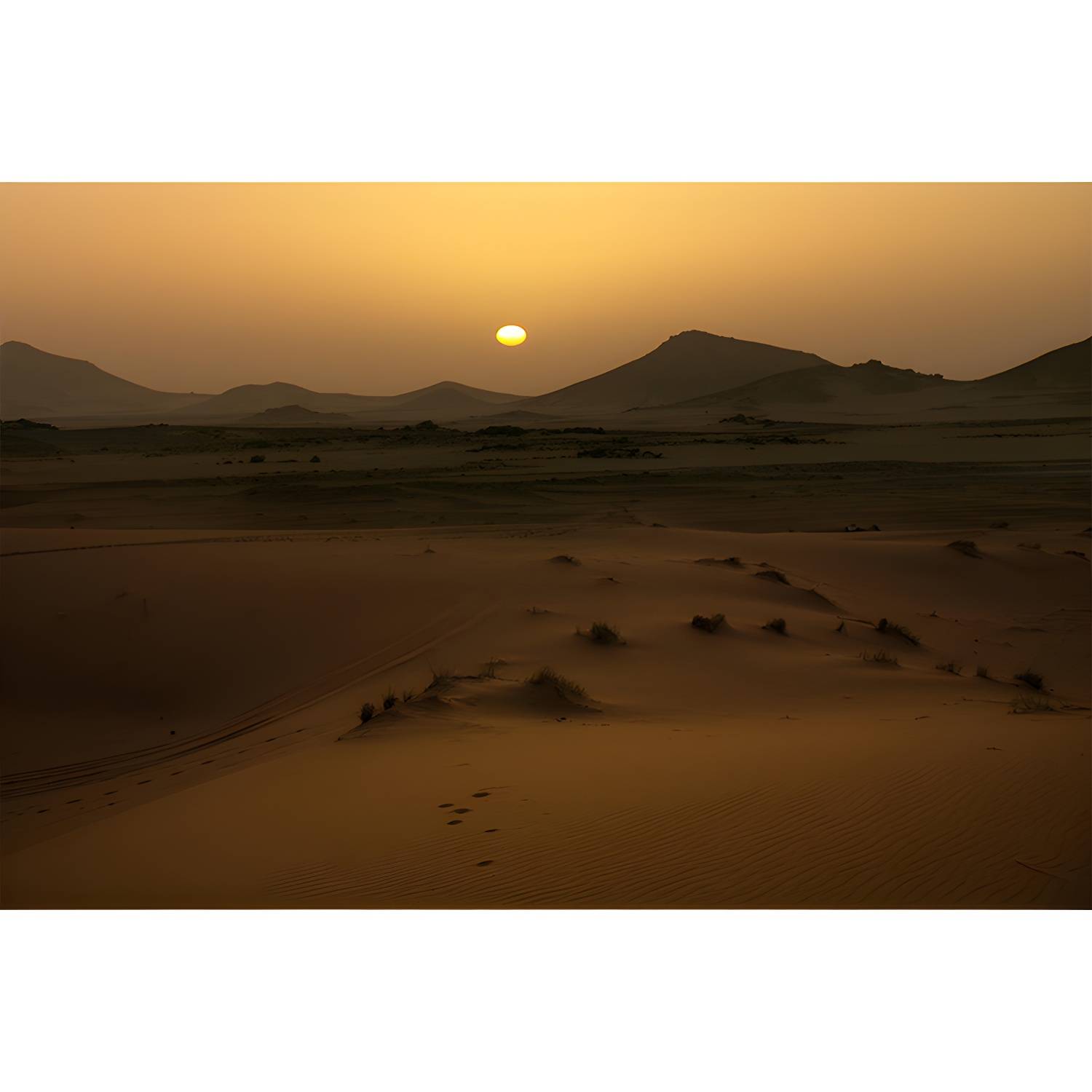 Imported image d9a6e0d3d98c 3732545.jpg