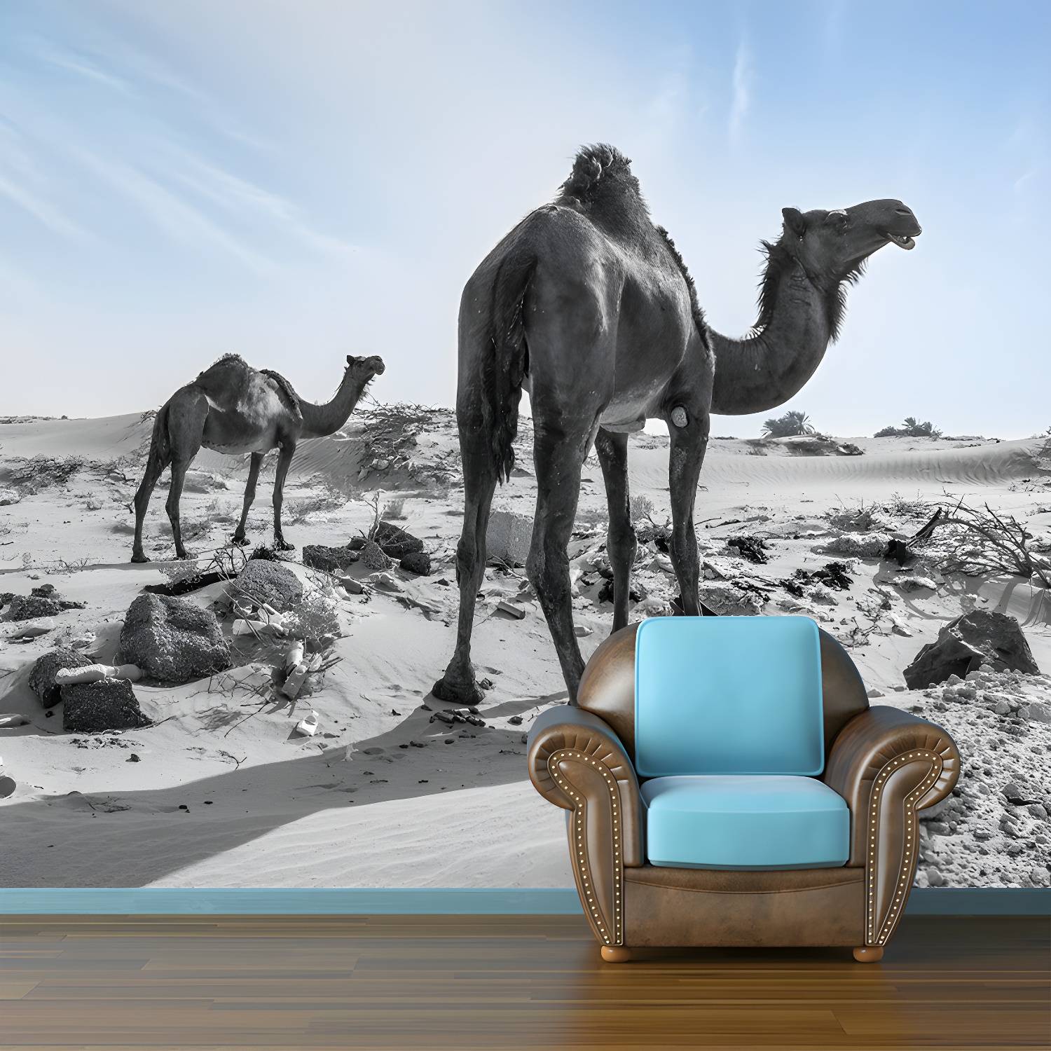 Imported image b8beb9d3a5e5 3732551.jpg