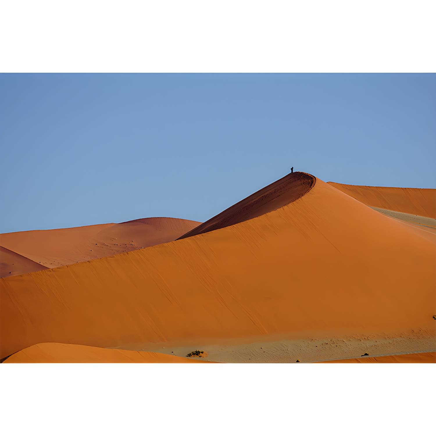 Imported image b7fa5c1c203f 3732653.jpg