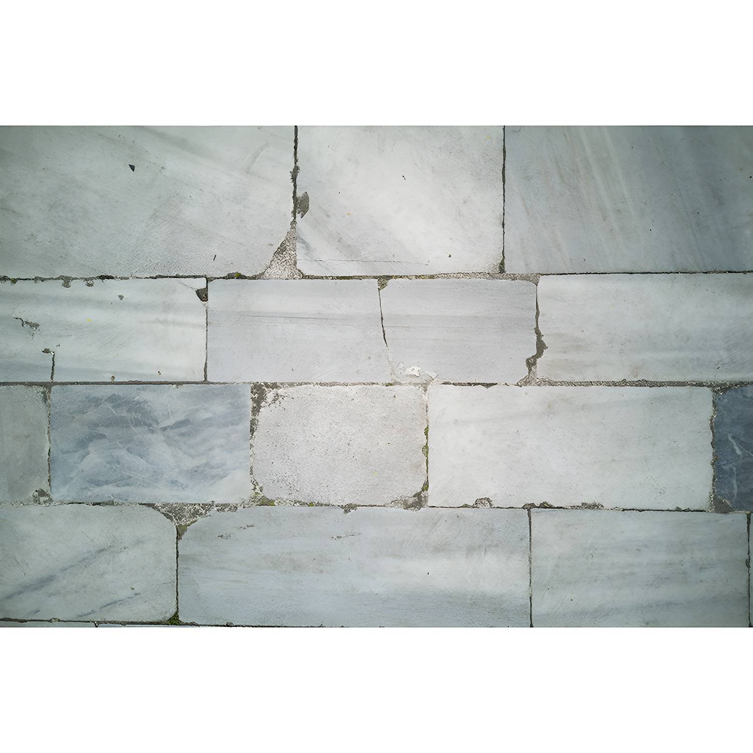 Imported image 6d4aa923fade 3732873.jpg