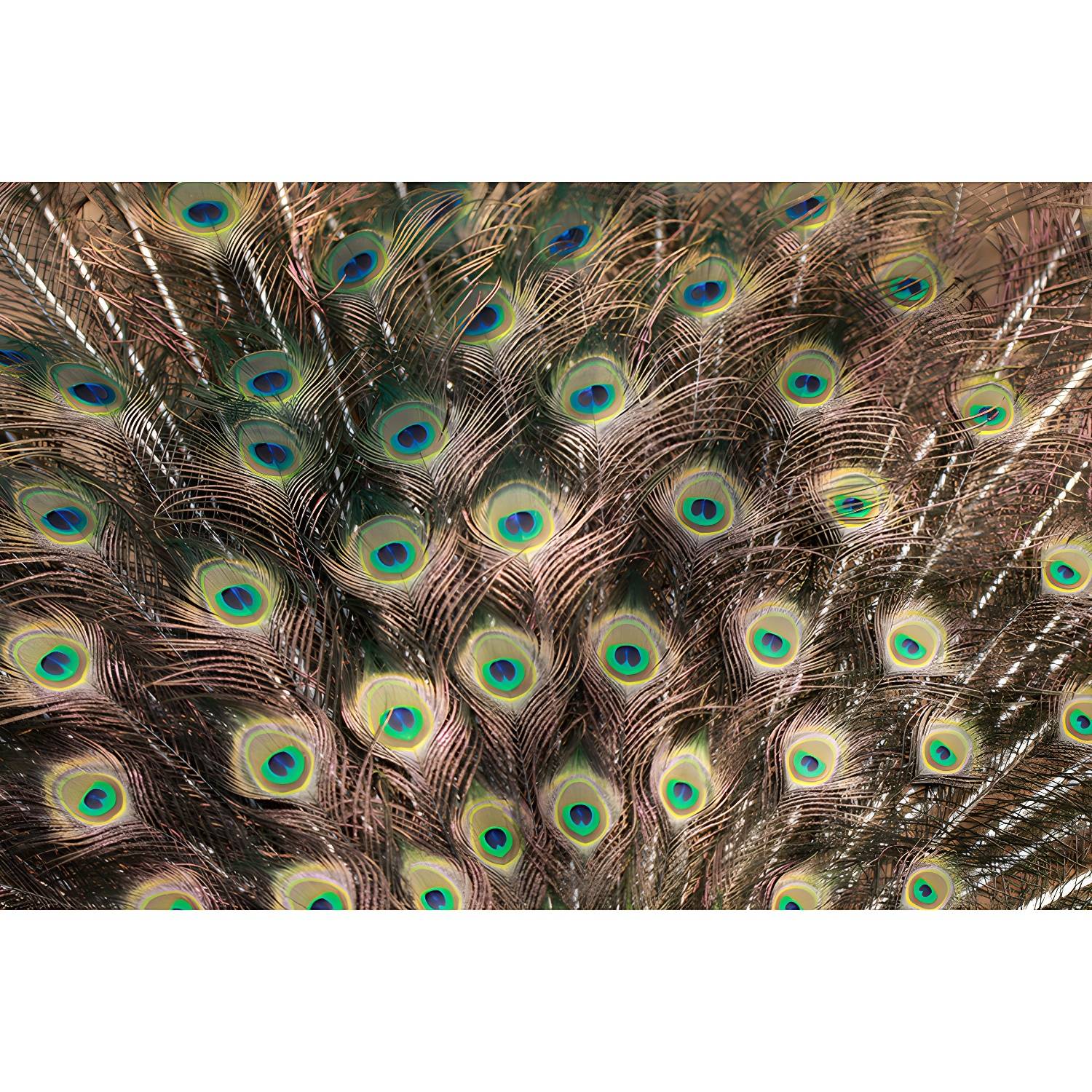Imported image 3d7c47ad4b26 3733133.jpg