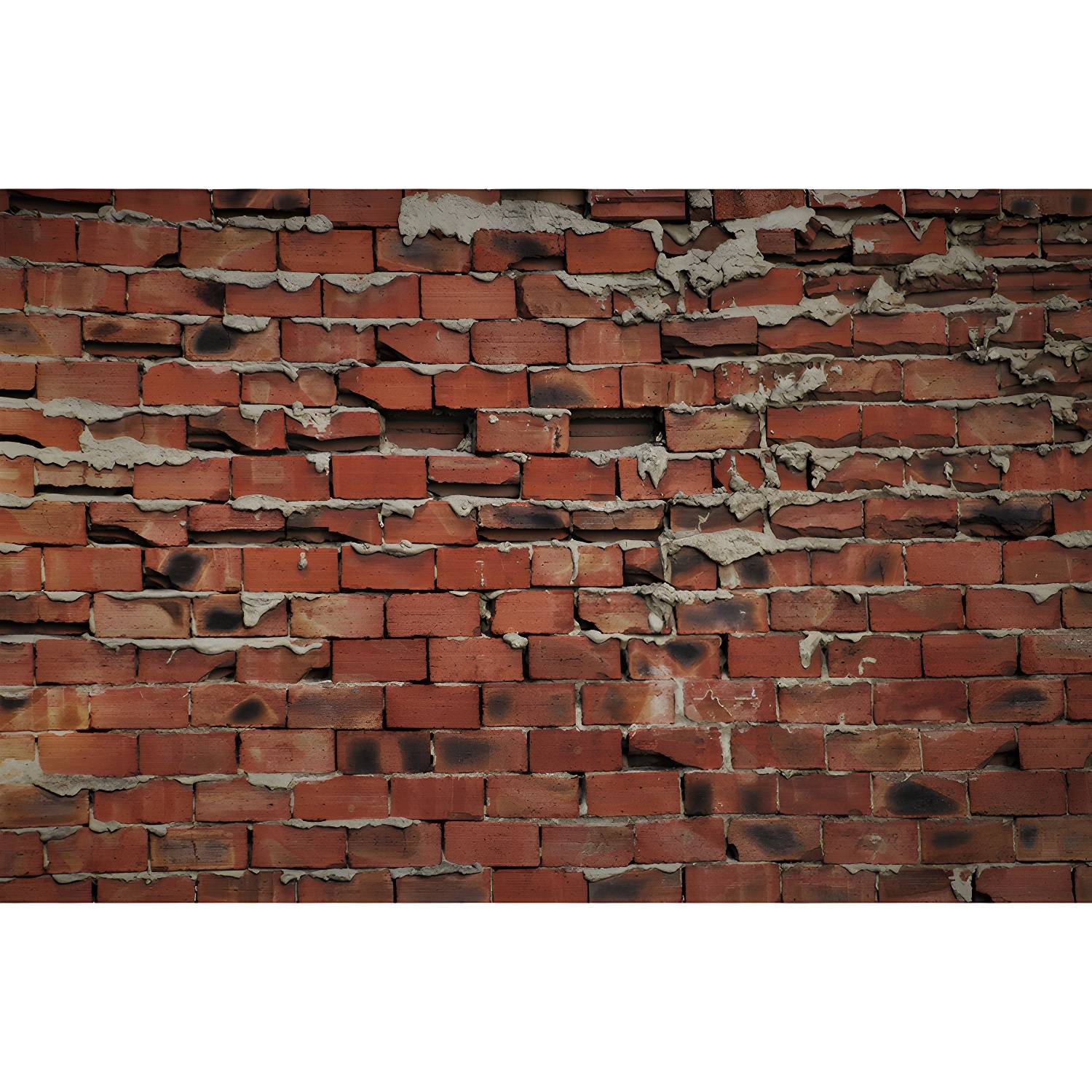 Imported image 3e58e62bd21a 3733453.jpg
