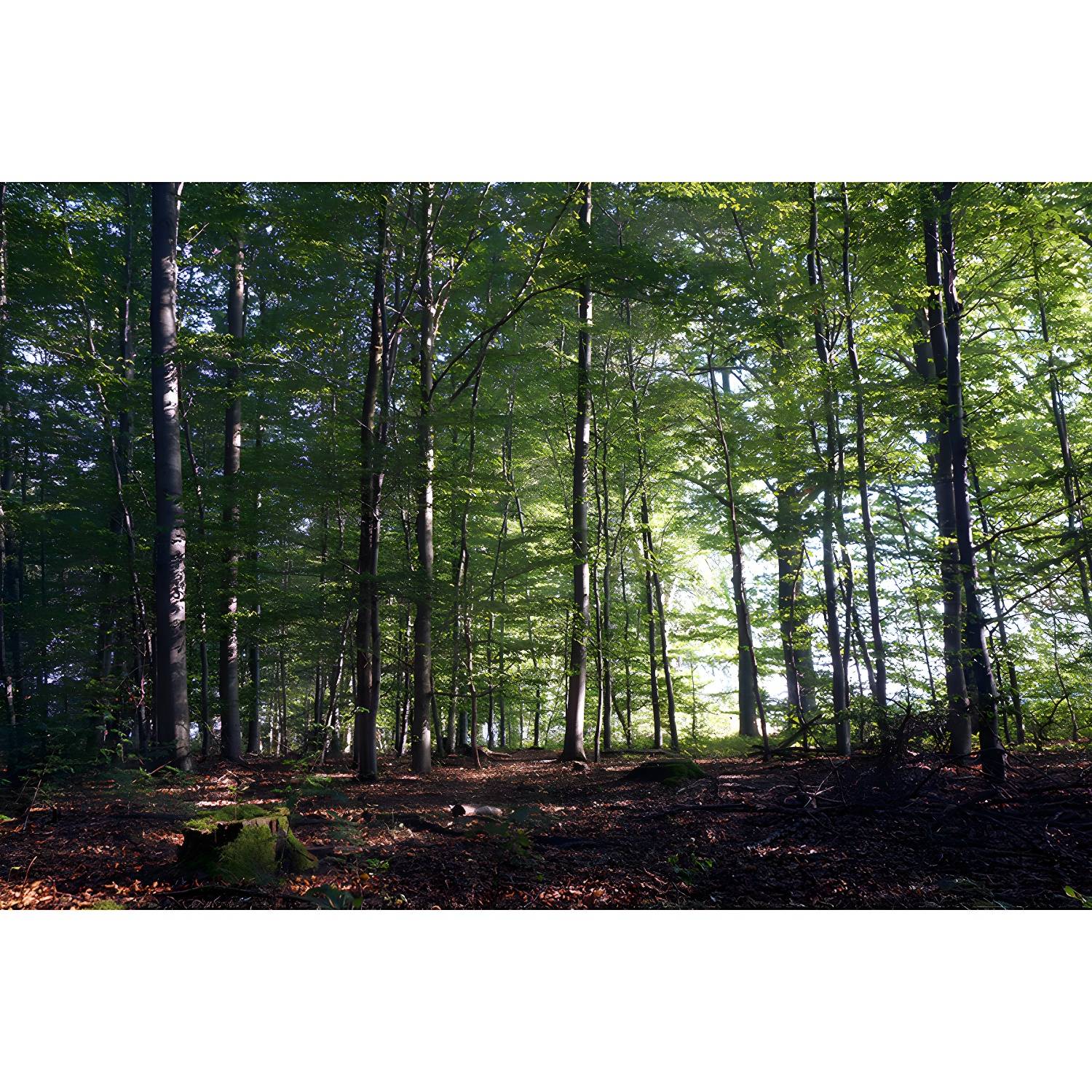 Imported image 2d5bd9b34a17 3733503.jpg