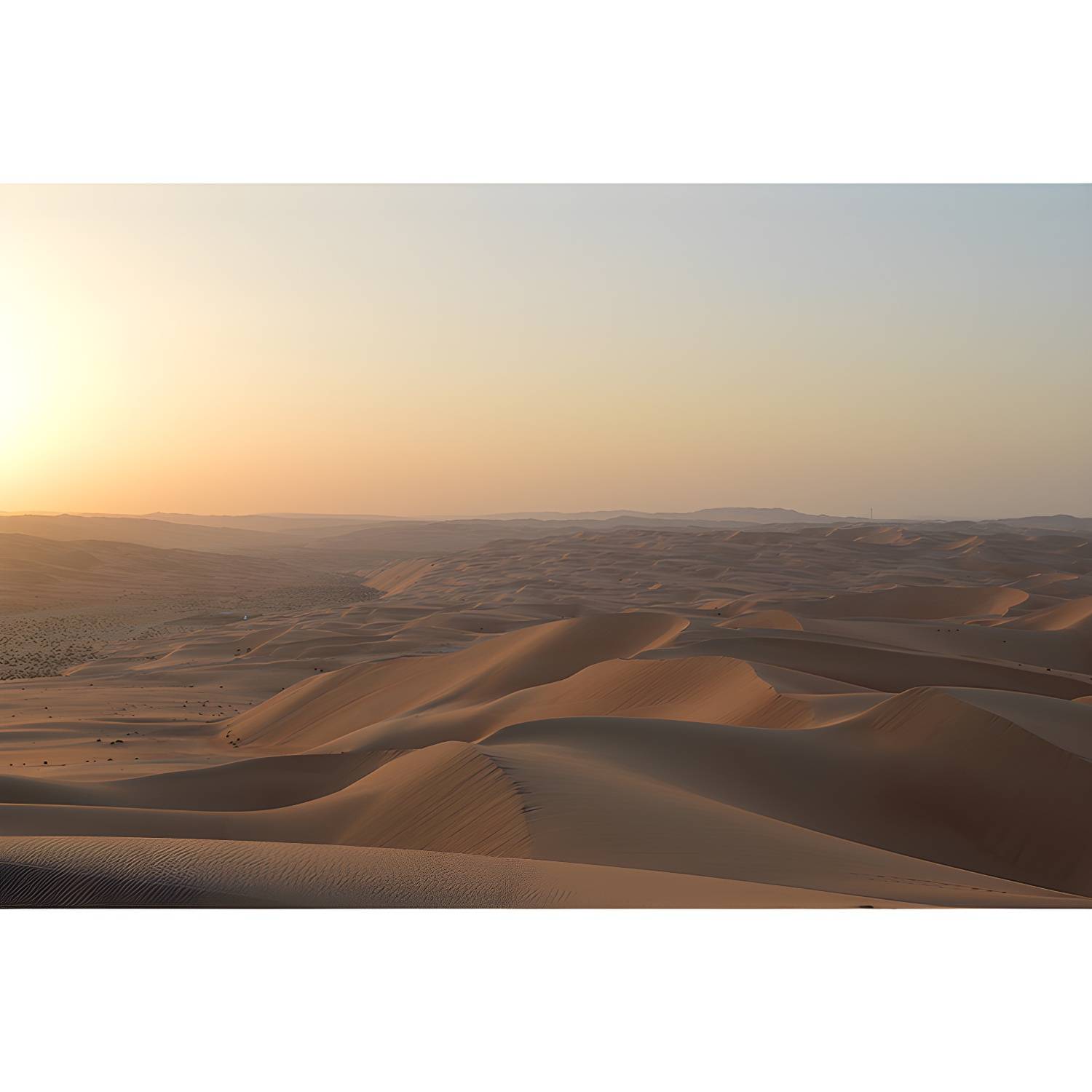 Imported image eade4e2e5517 3733817.jpg