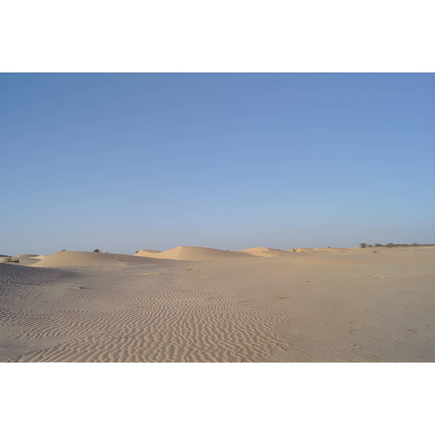 Imported image 270578b18f2e 3733823.jpg