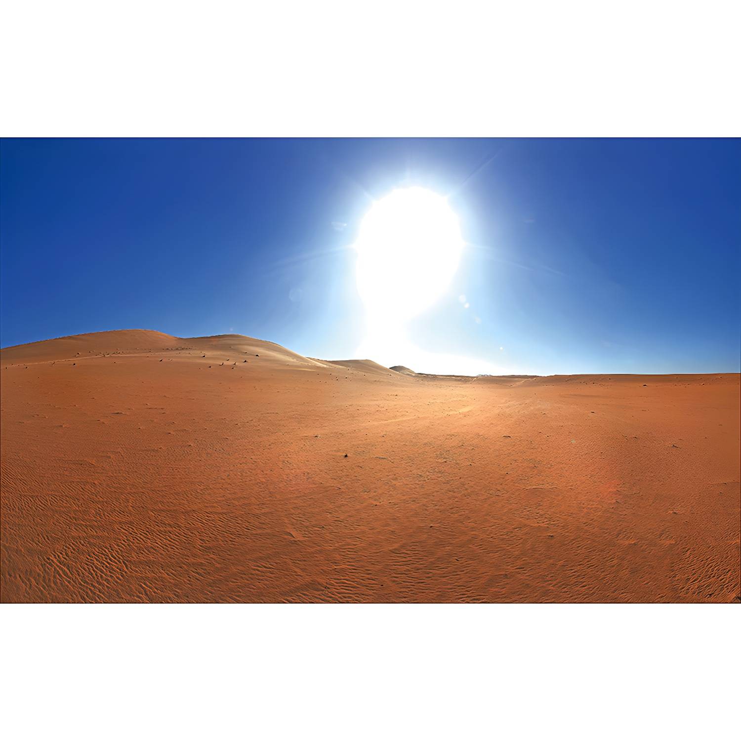 Imported image 8d282a2aba3e 3733831.jpg