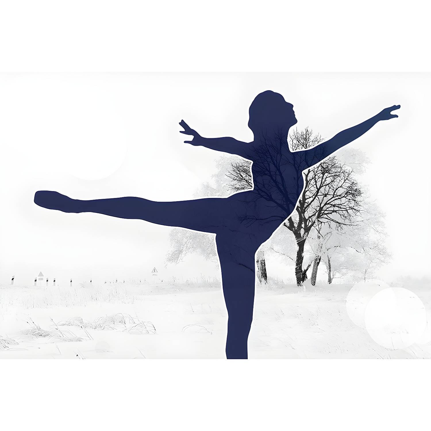 Imported image 8985c60e82ad 3733907.jpg