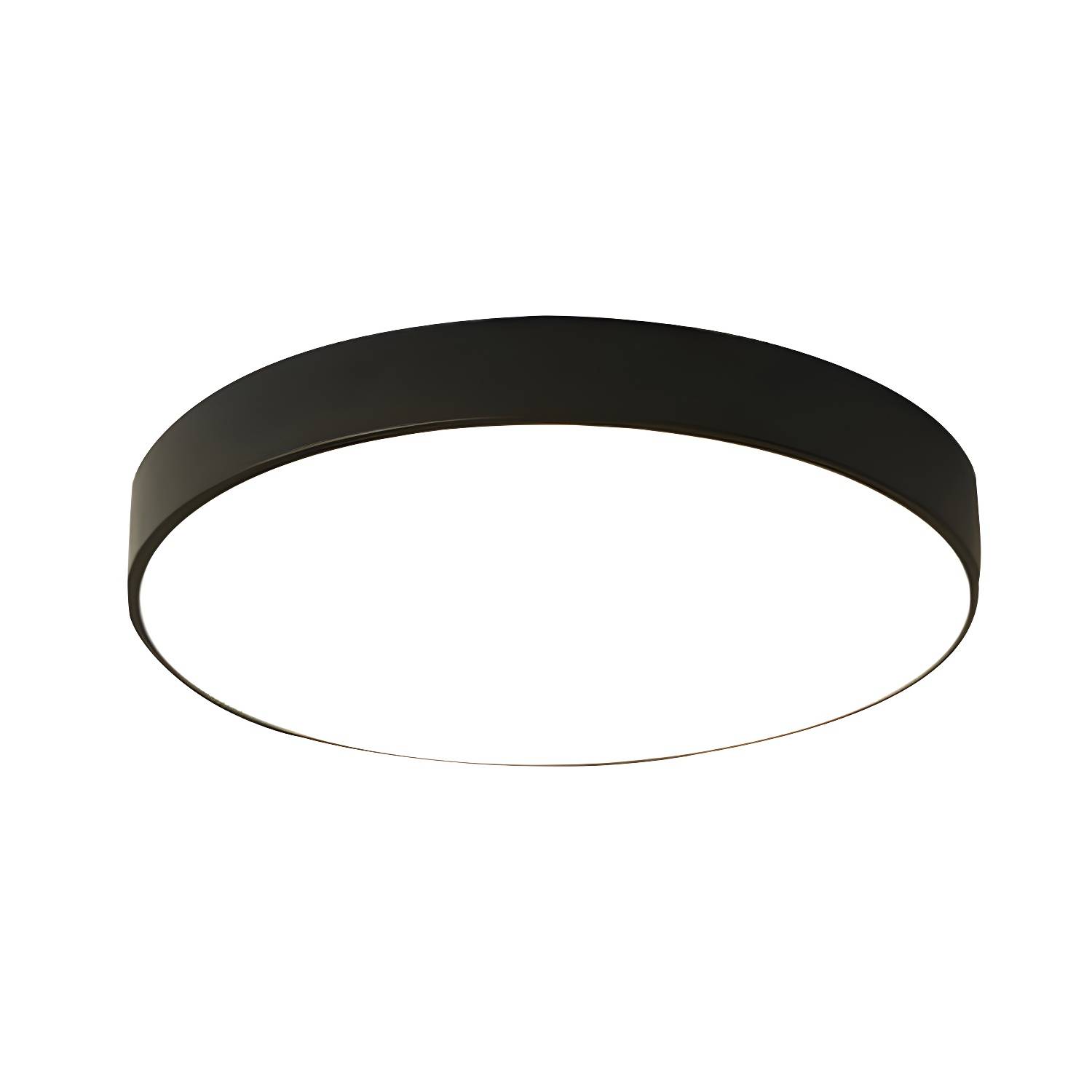 Imported image 575812a5ee7c 3744579.jpg