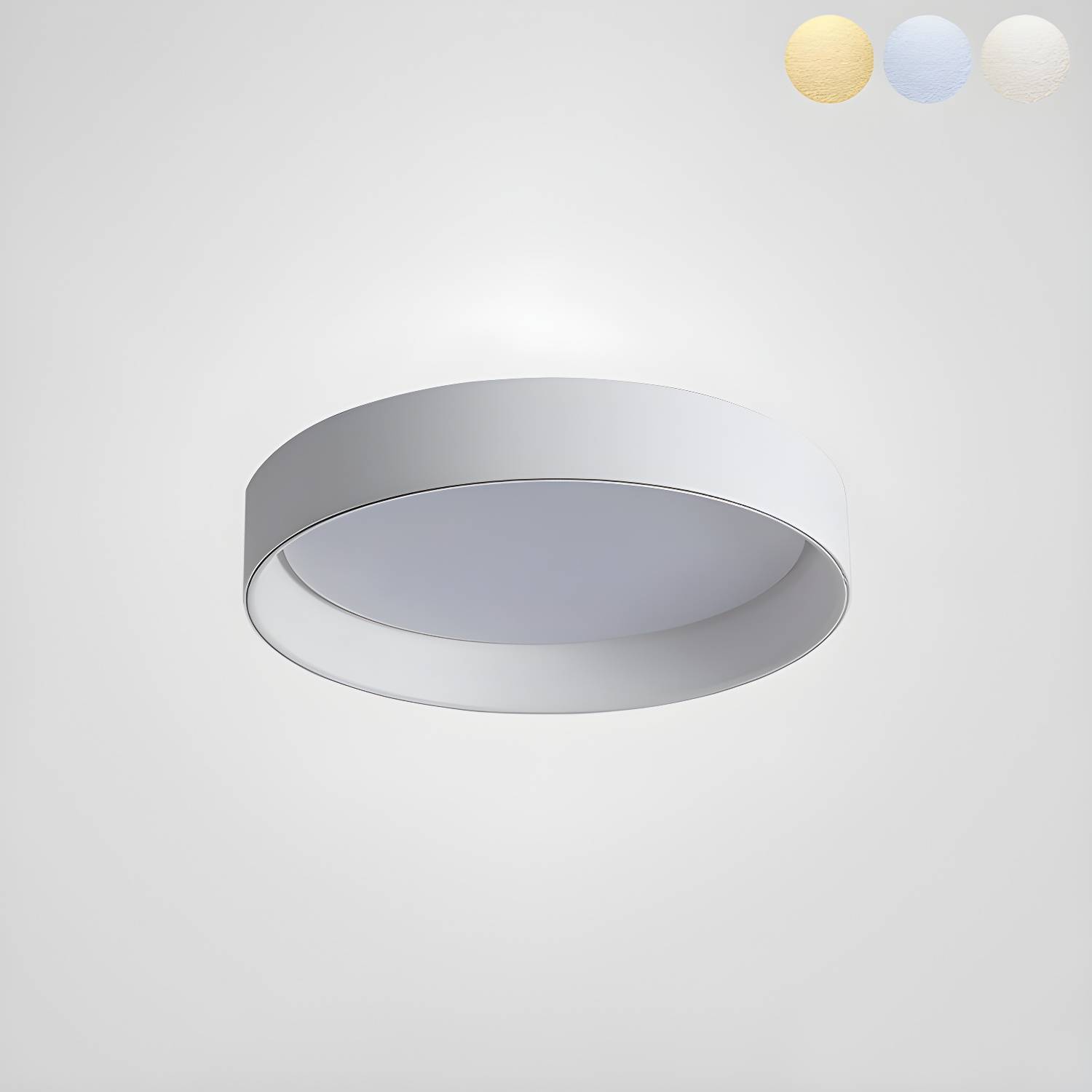 Imported image d61ba83fdeae 3744607.jpg