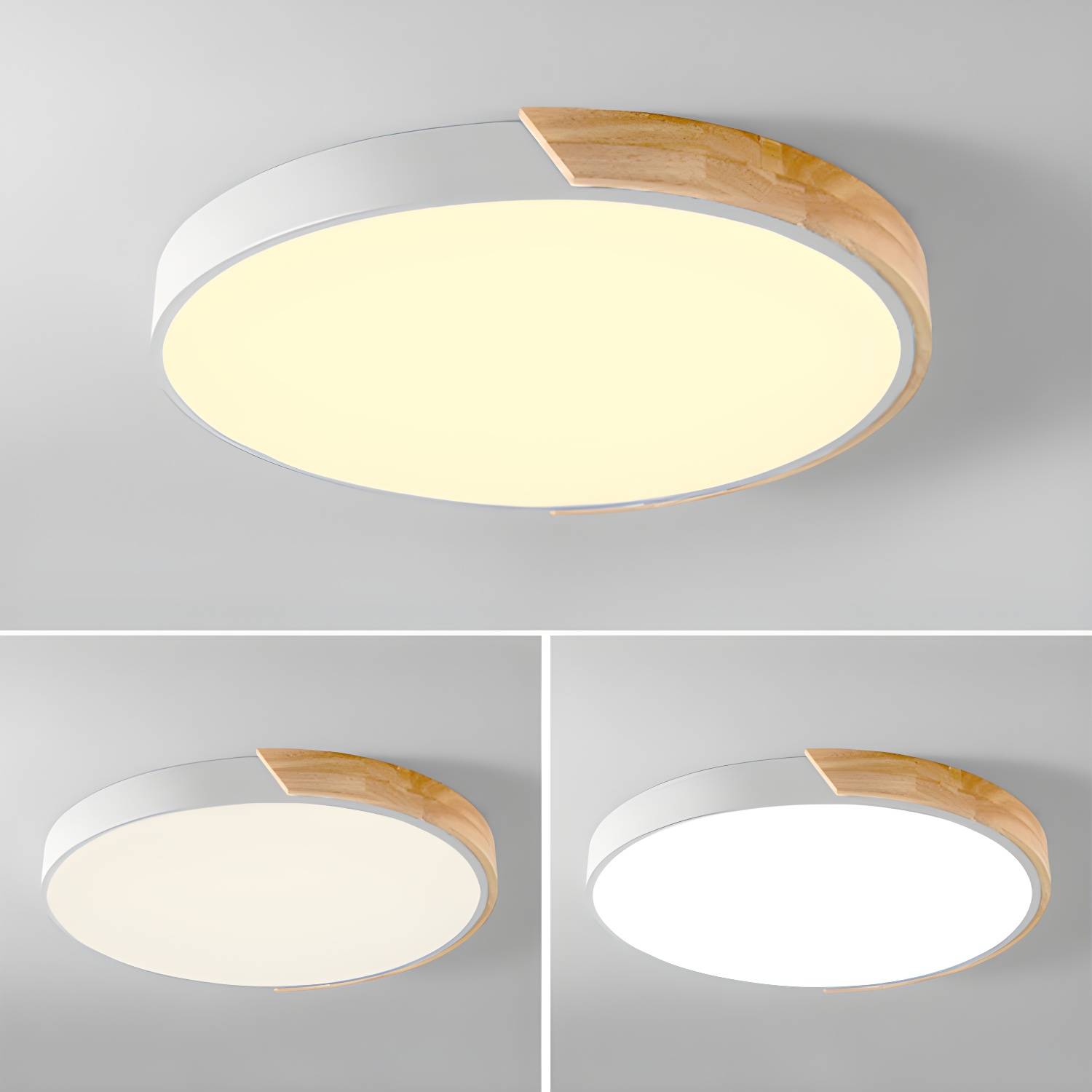 Imported image 579cba1642bd 3745645.jpg