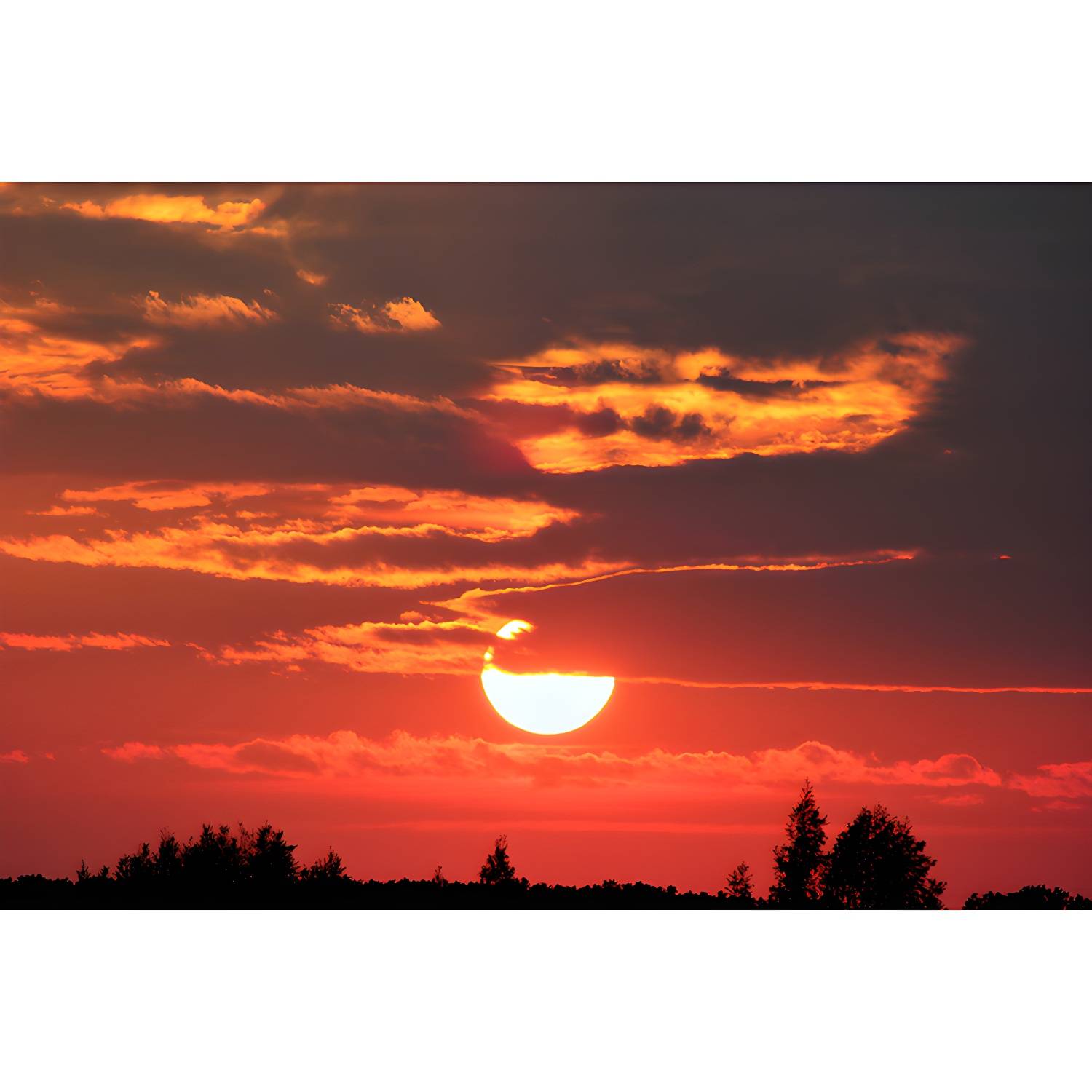 Imported image c9eb9d57f1bd 3748448.jpg