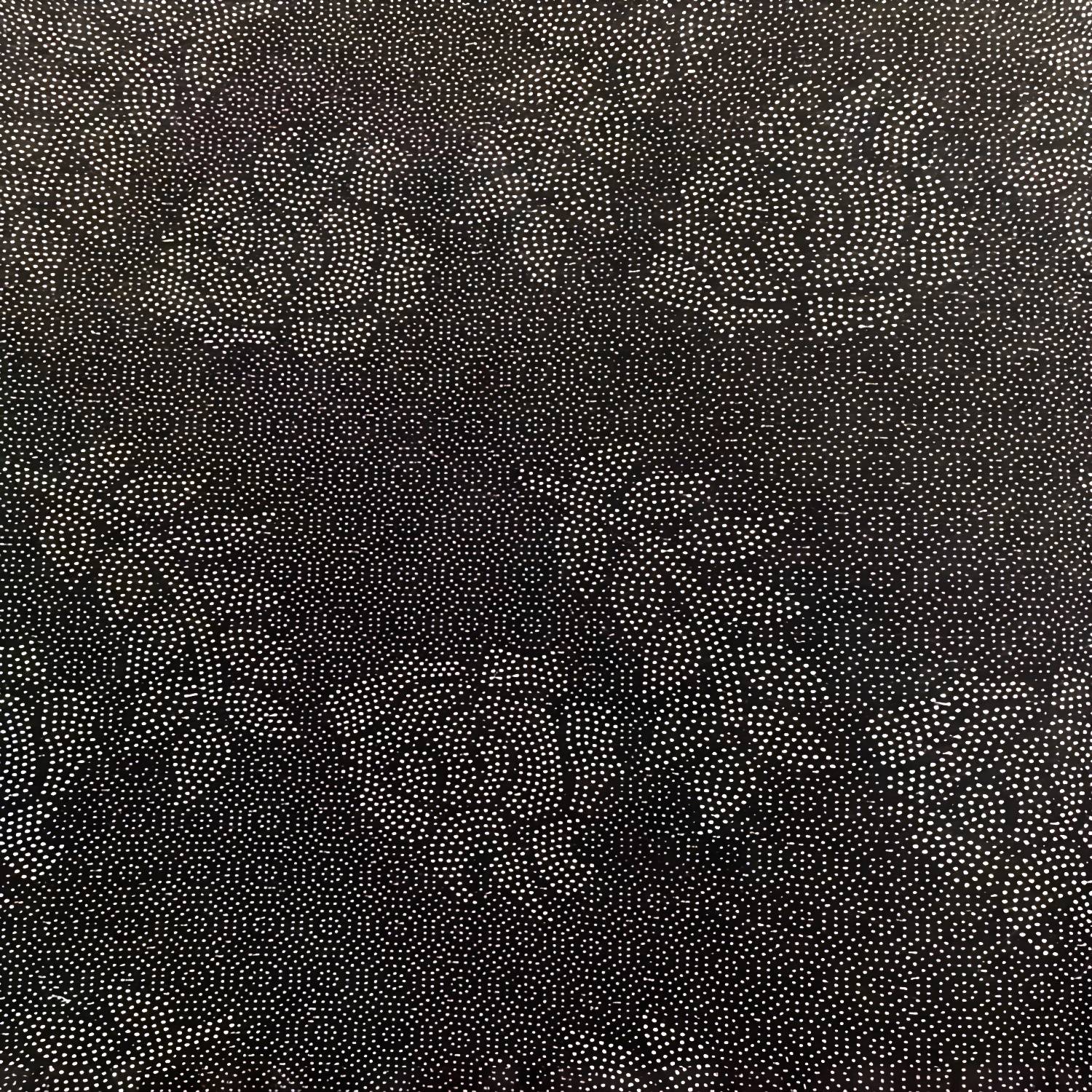 Imported image 152489f8fbb3 3749025.jpg