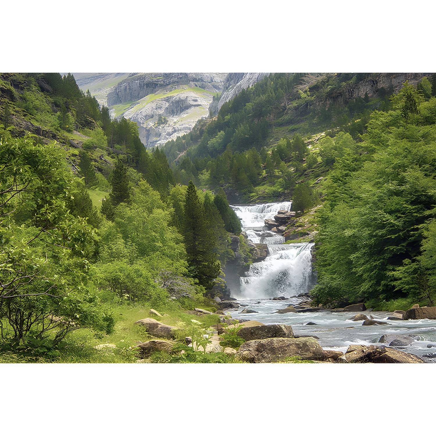 Imported image 96b97beb52e3 3761491.jpg