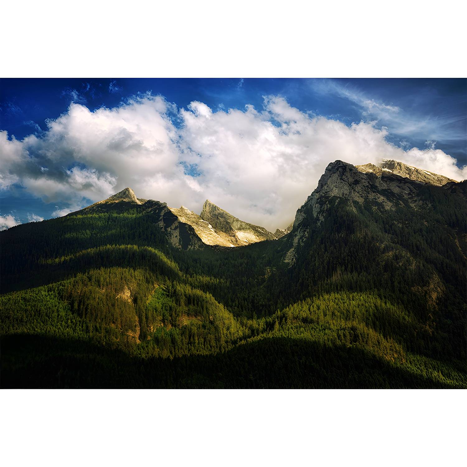 Imported image def7c31d52a3 3762467.jpg