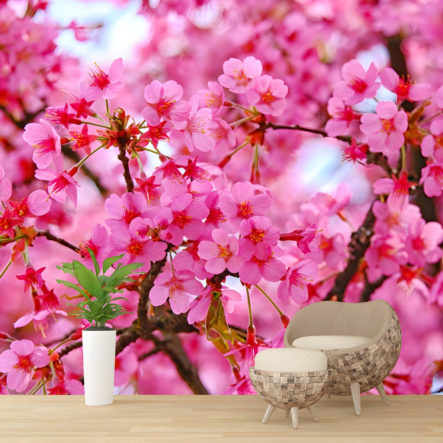 Imported image 76714a9d2464 3762897.jpg