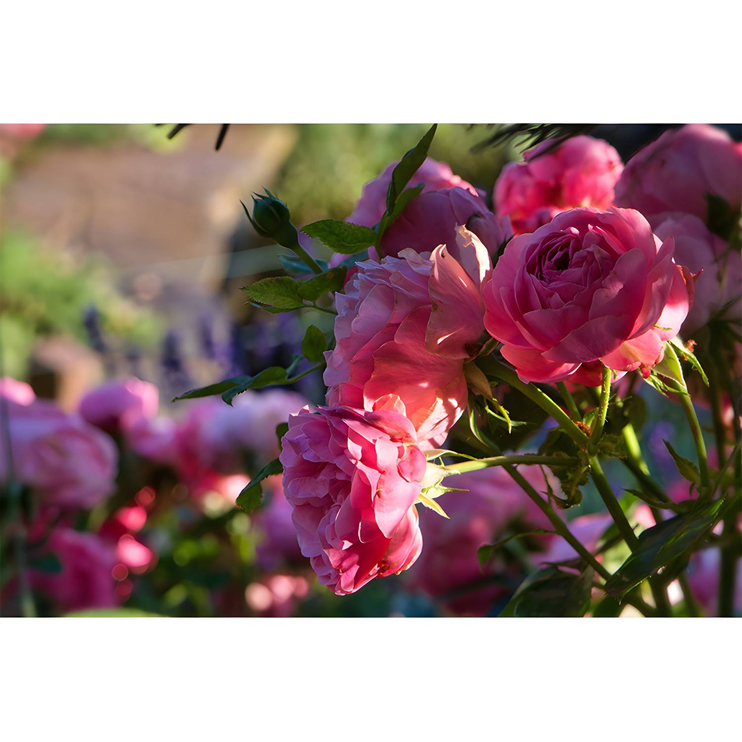Imported image 900a05552380 3763403.jpg