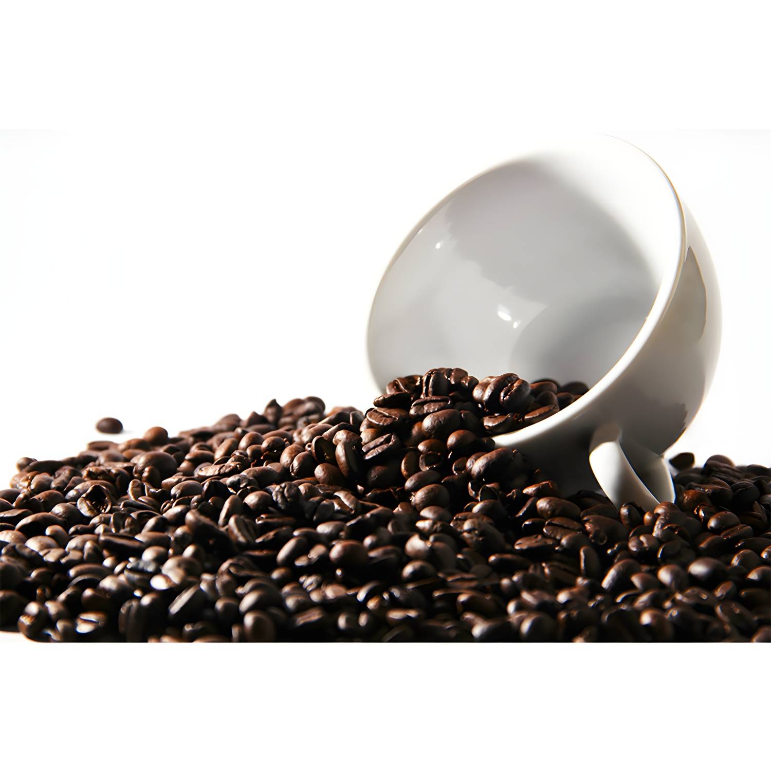 Imported image f8df2b01a92e 3763763.jpg