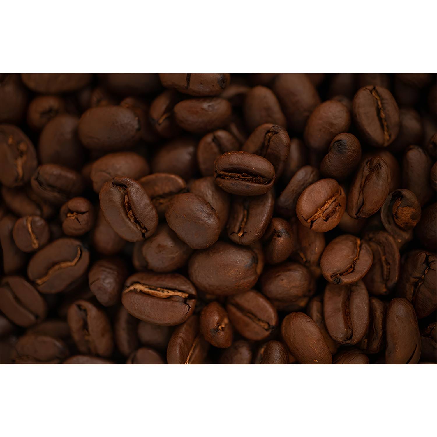 Imported image 38c8af0e79f6 3763845.jpg