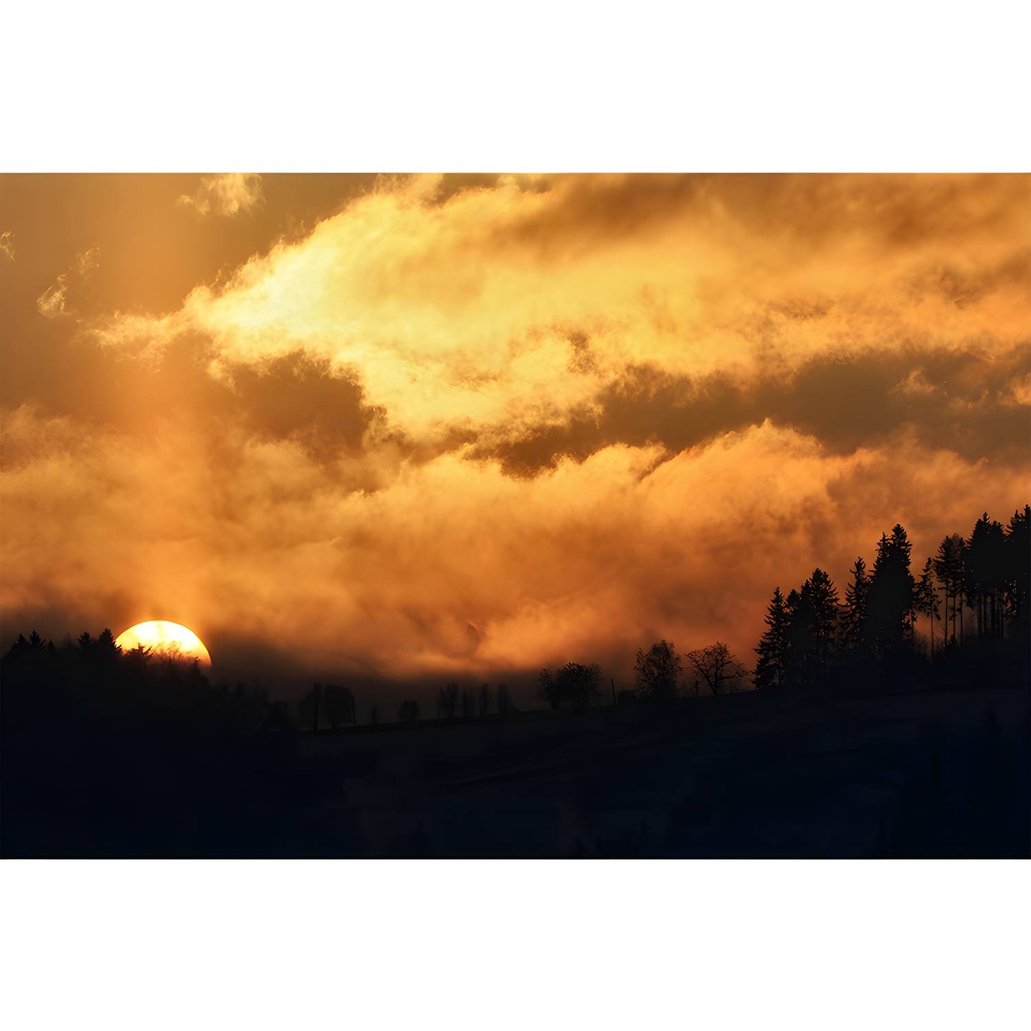 Imported image ca75ec566c17 3764015.jpg
