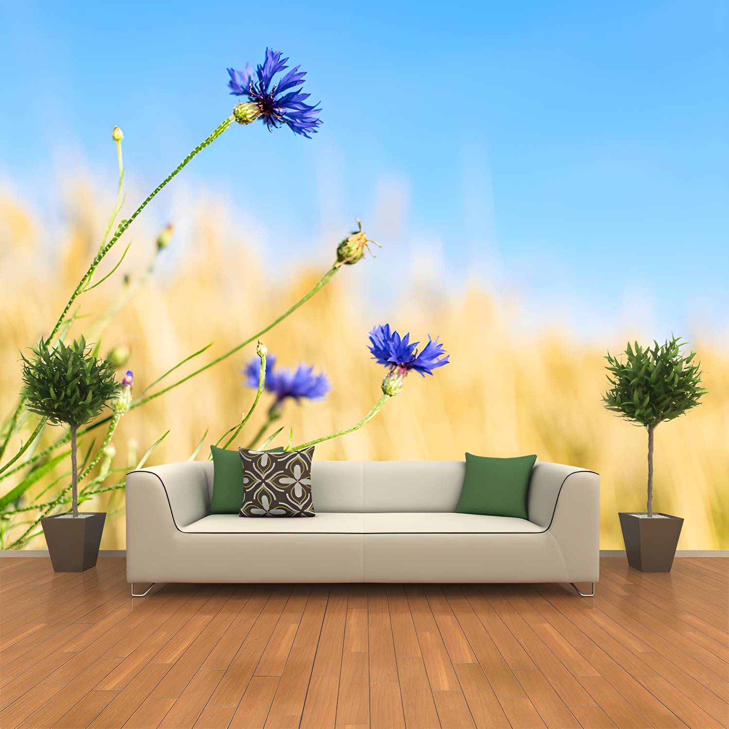 Imported image 5af6dd3a5784 3765104.jpg