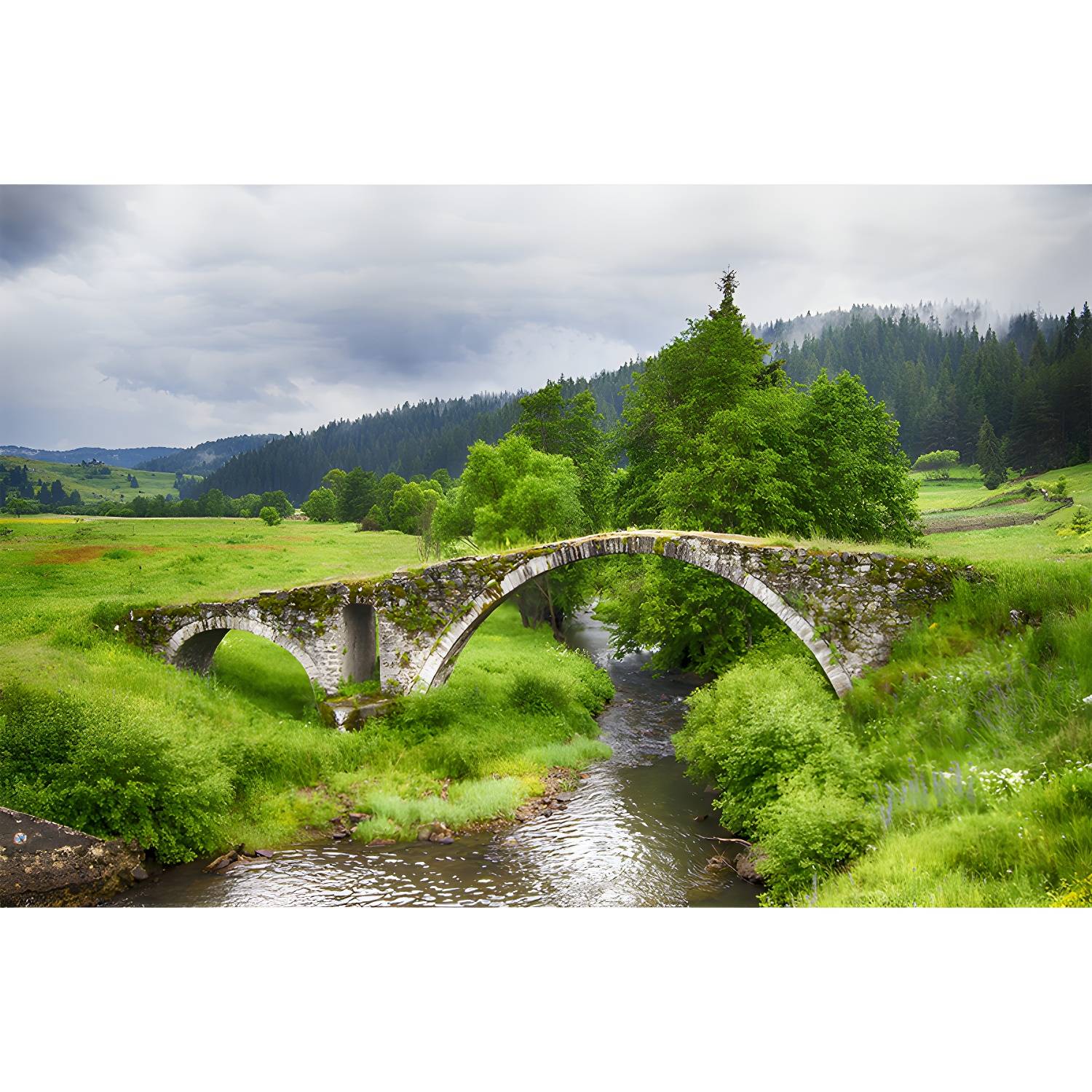 Imported image a13e4084b8d3 3767207.jpg