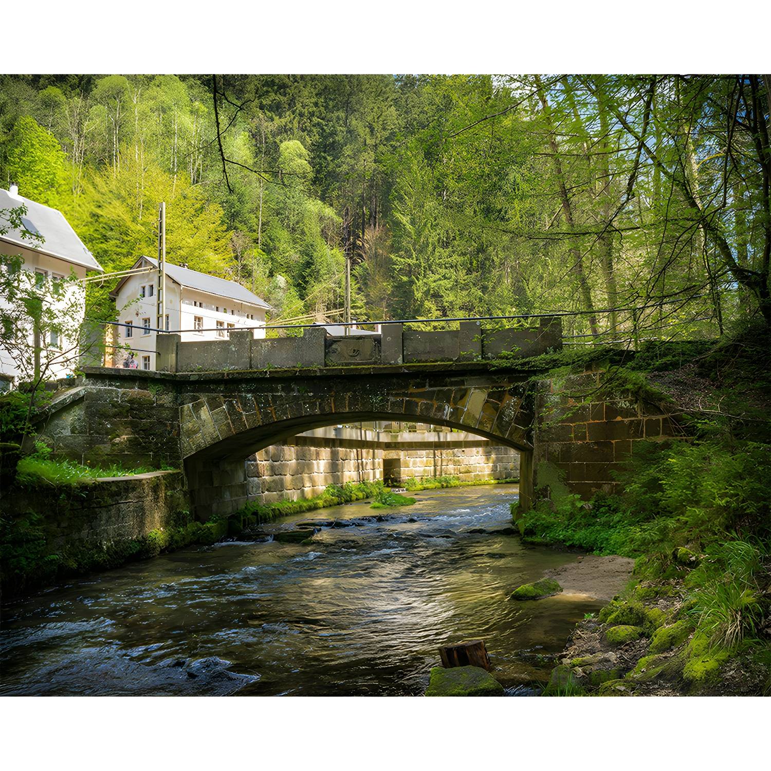 Imported image 638decd858ae 3767243.jpg