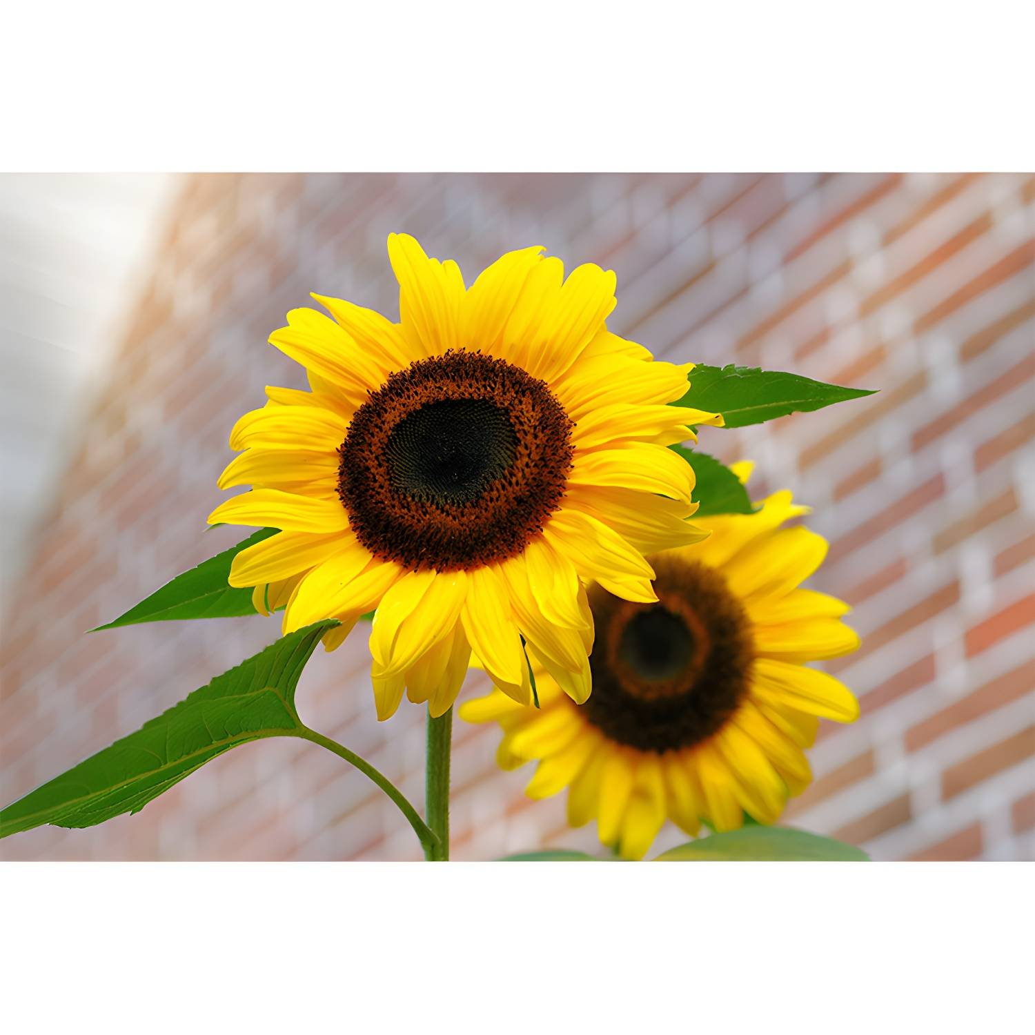 Imported image 8e876a6588aa 3767747.jpg