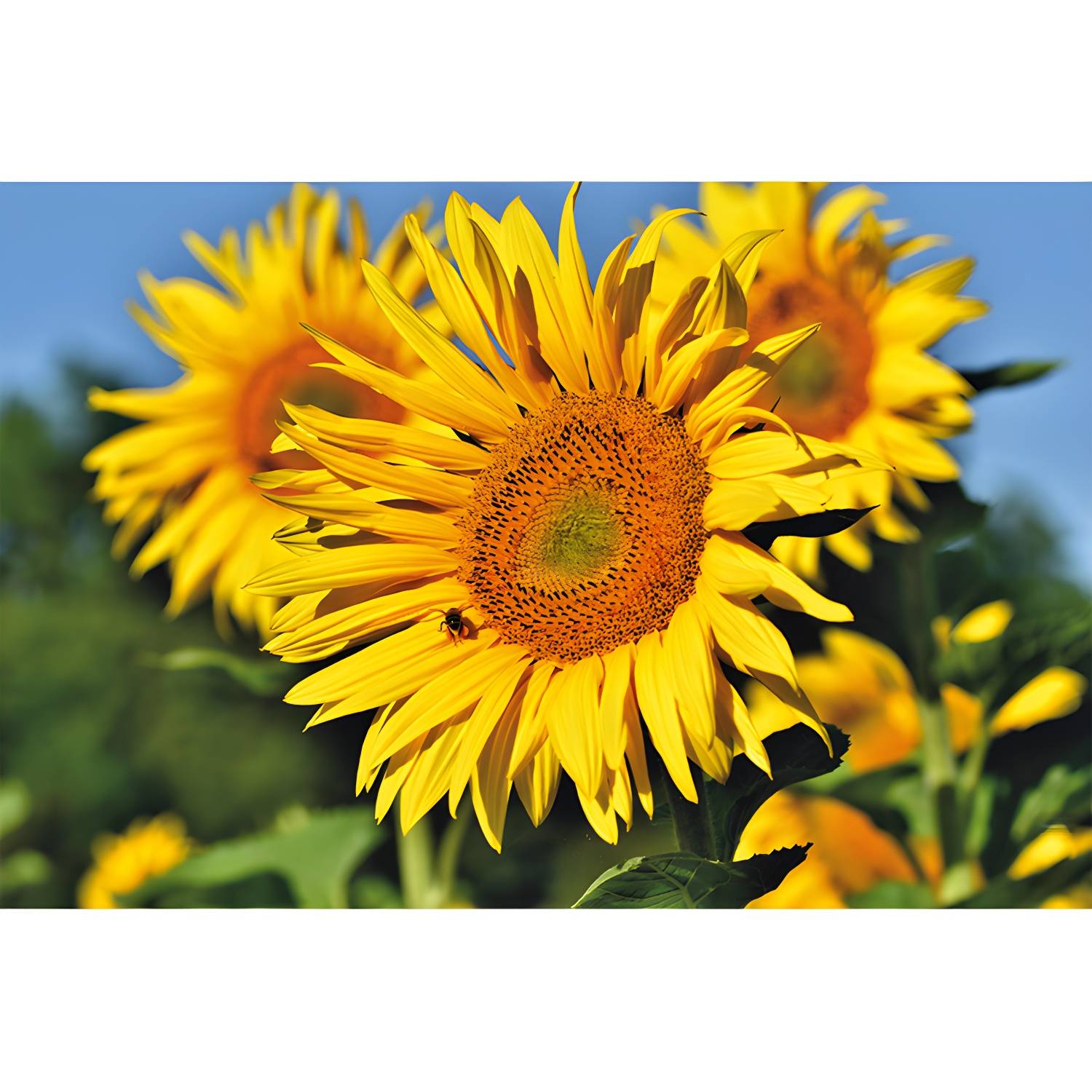 Imported image 600a16607d0c 3767755.jpg