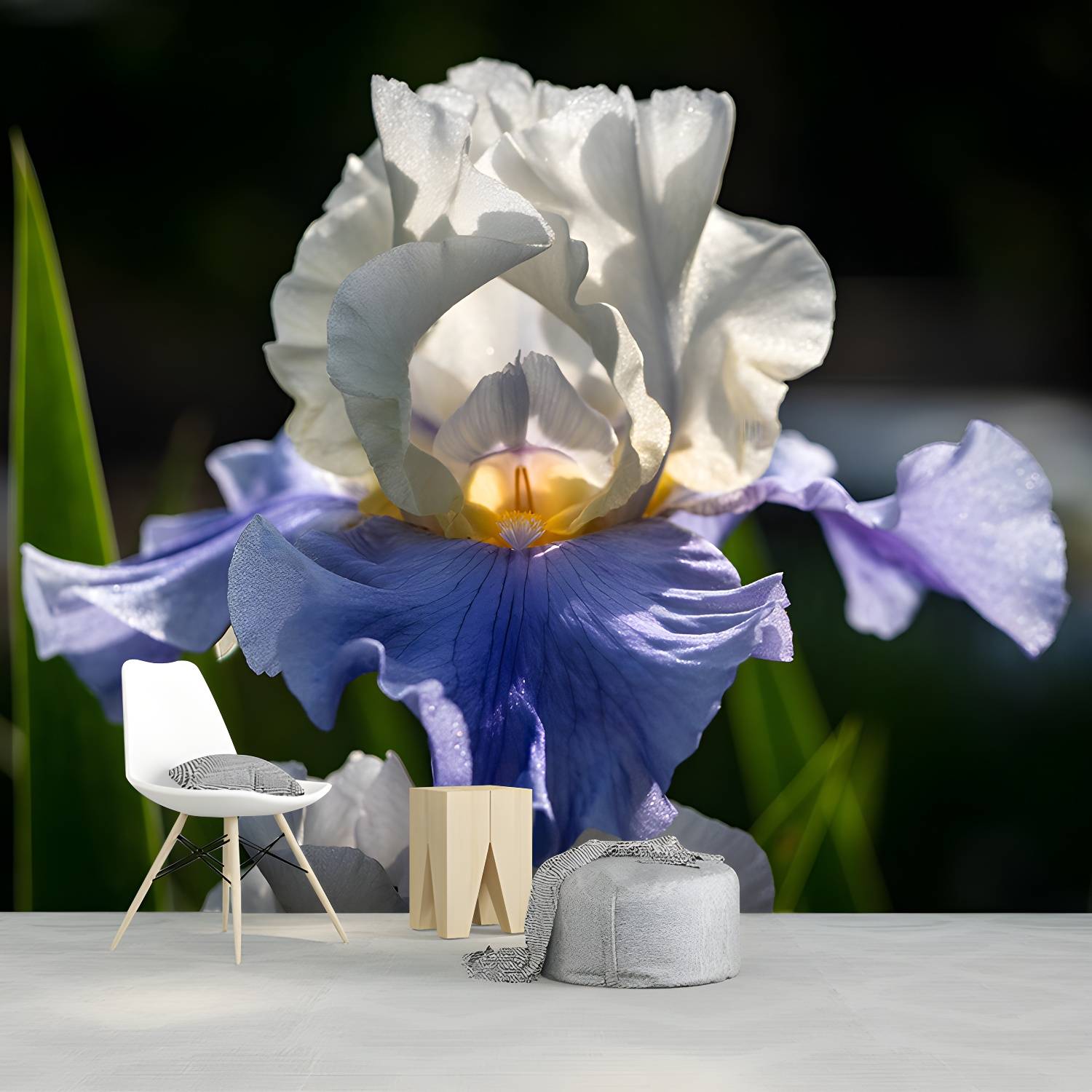 Imported image f11be9d18401 3767798.jpg