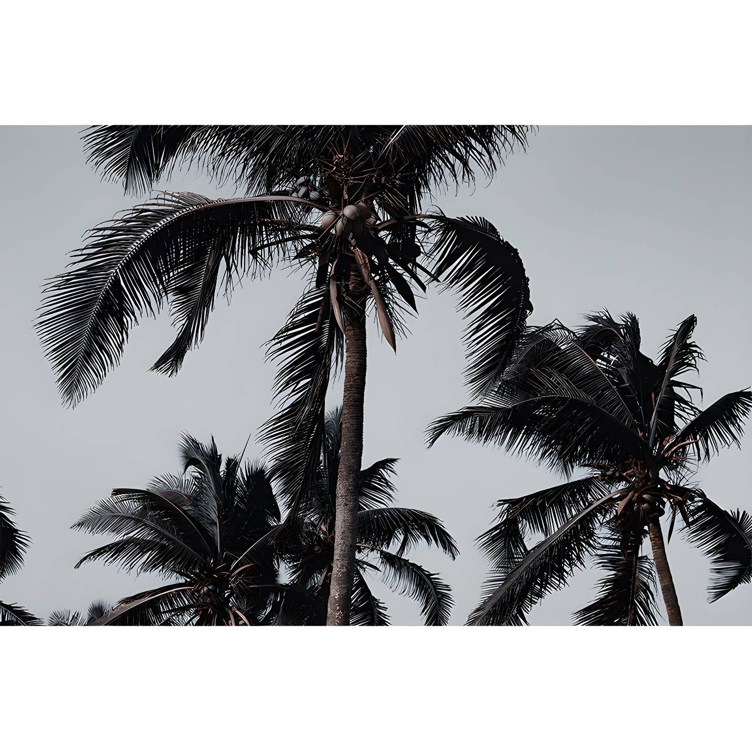 Imported image 692c2e18e2b5 3767891.jpg