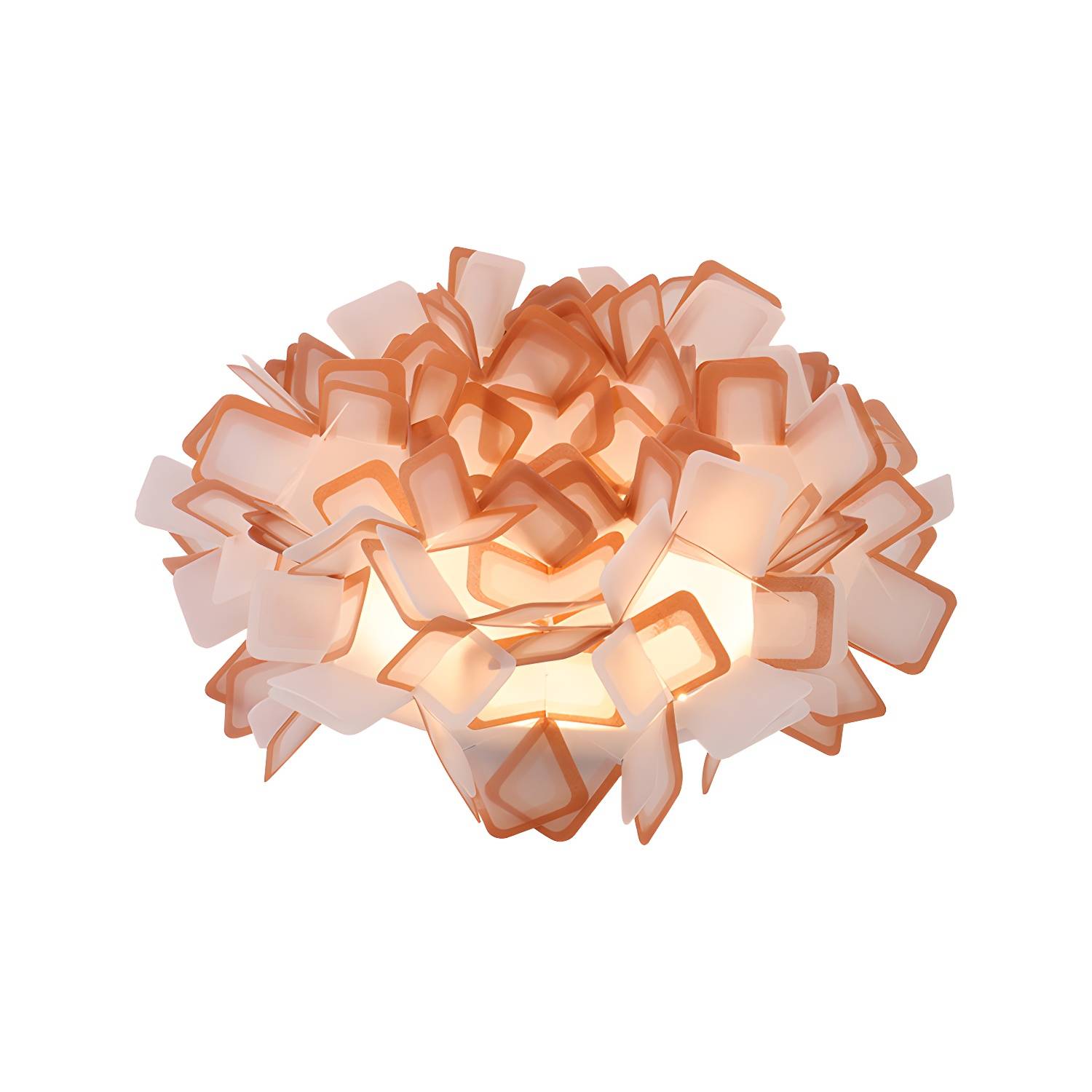 Imported image 57a713d52828 377782.jpg