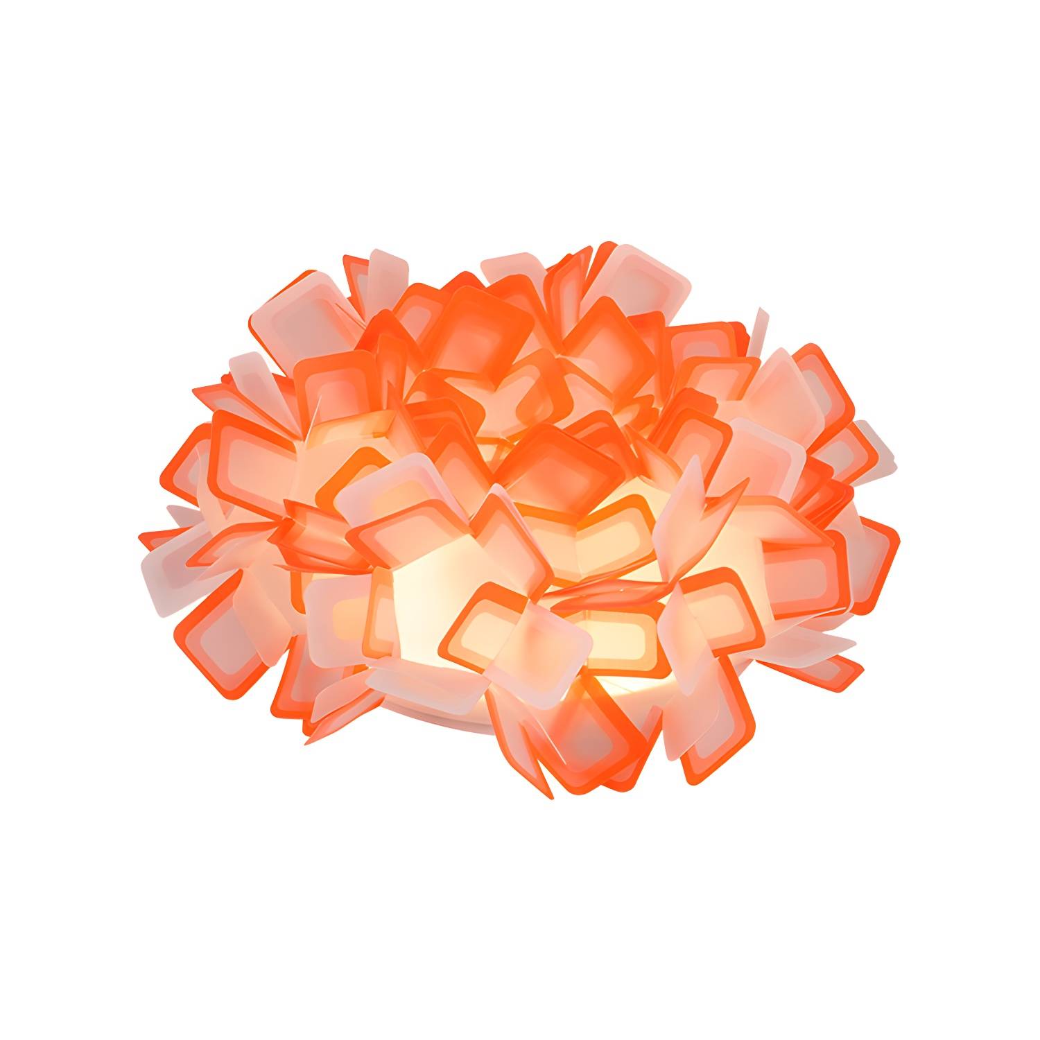 Imported image 7210312cf505 377786.jpg