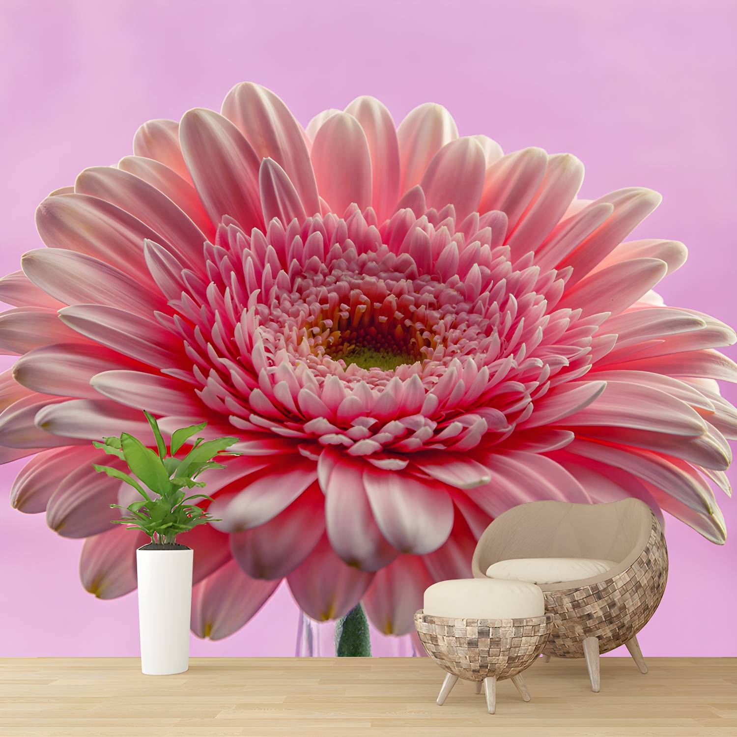 Imported image 875c5d5b00d6 3782408.jpg