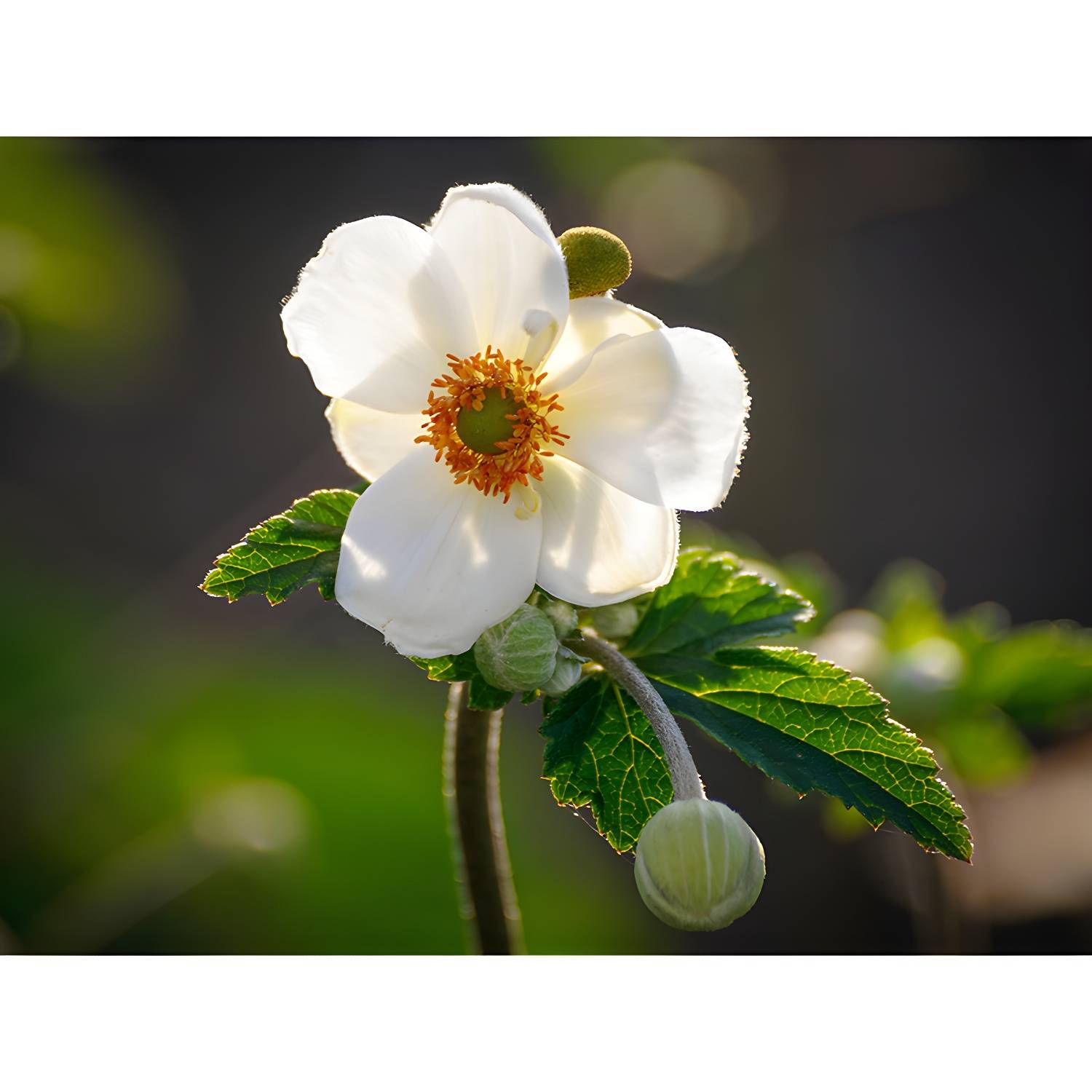 Imported image 3501f547dc0b 3782415.jpg