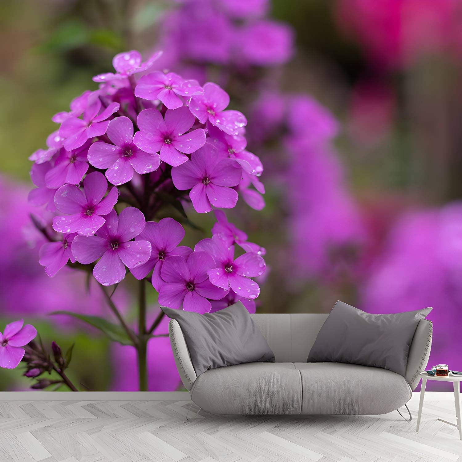 Imported image d8d9007197db 3782558.jpg
