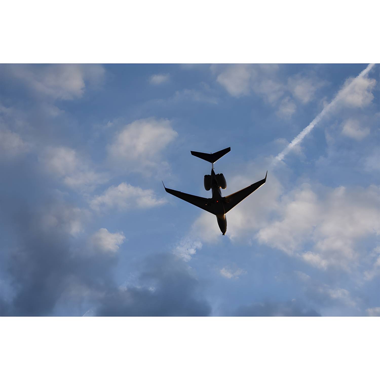 Imported image 22ff96b8be4d 3784233.jpg