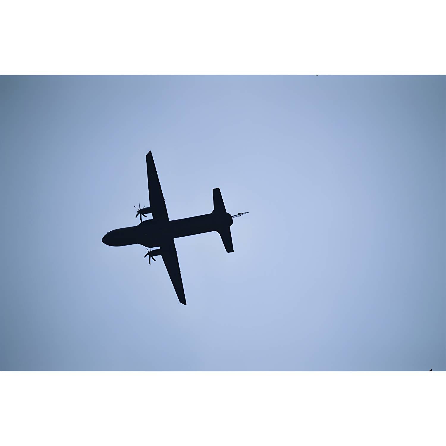 Imported image fe8c172d861a 3784239.jpg