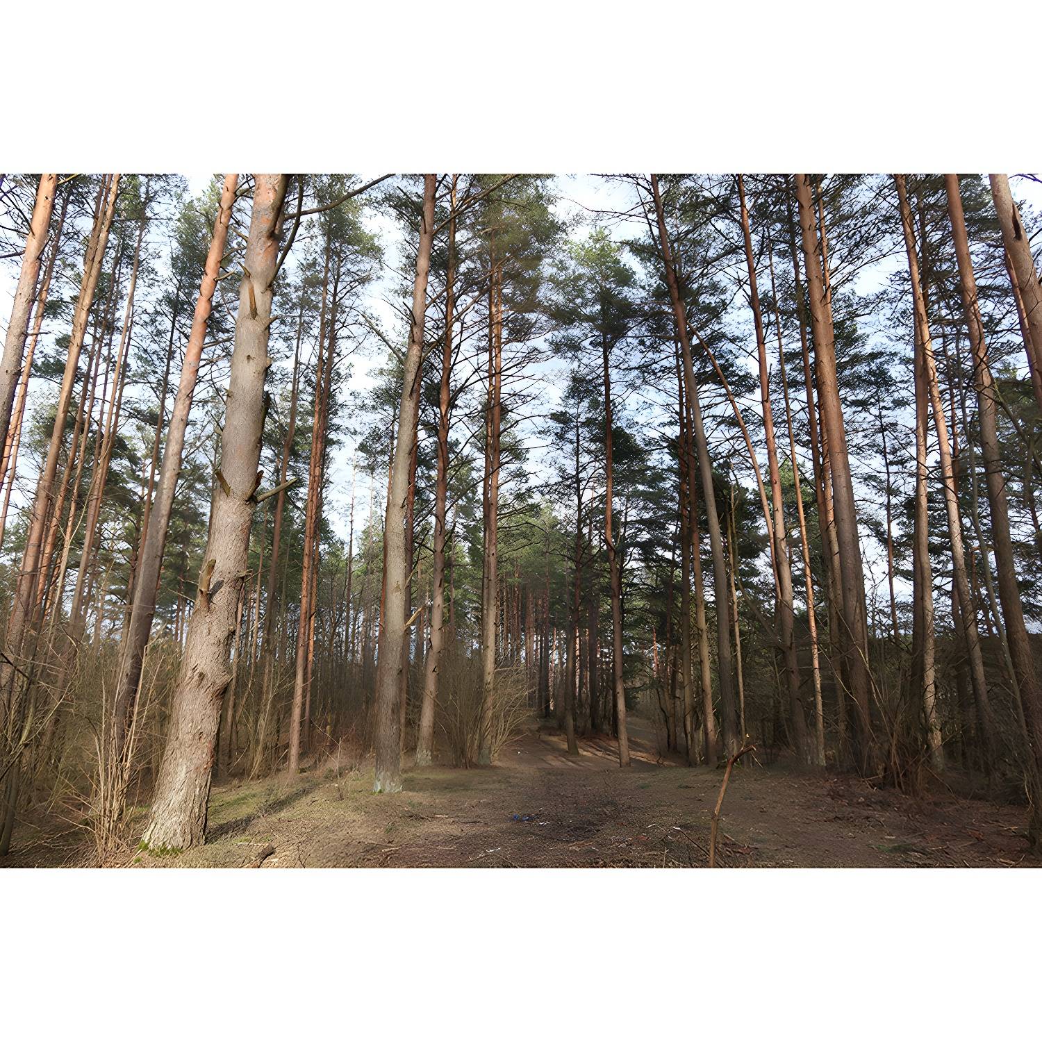 Imported image 4830c387902e 3790966.jpg