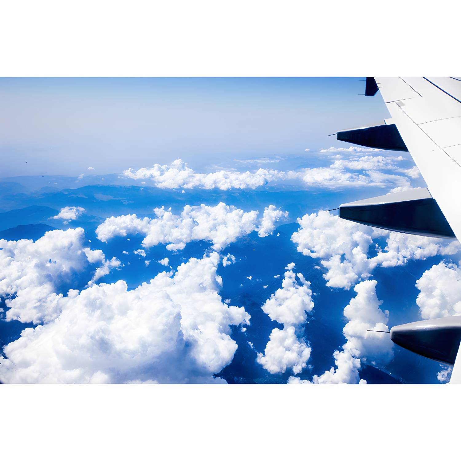 Imported image b097cde605ca 3791254.jpg